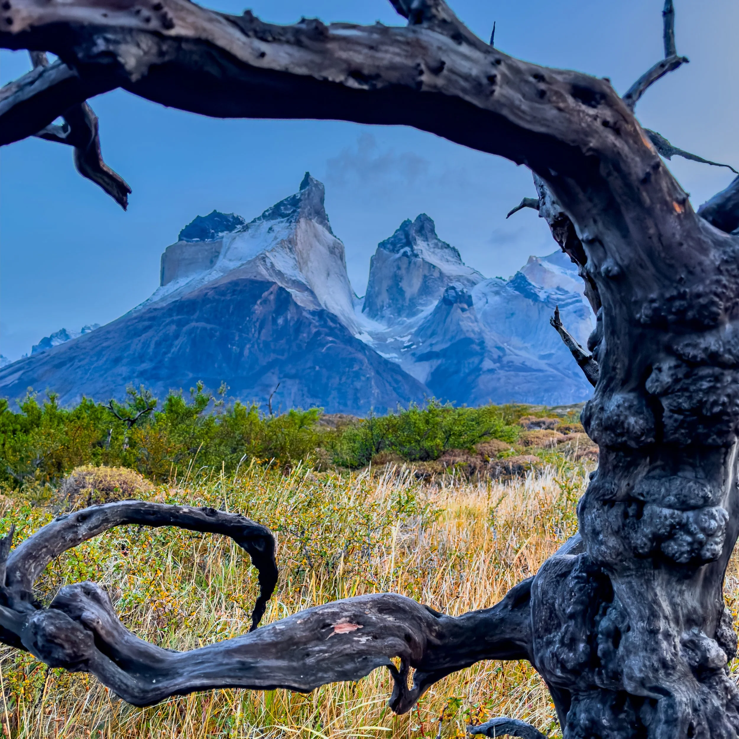 IMG_3102 Lois Anderson.jpg