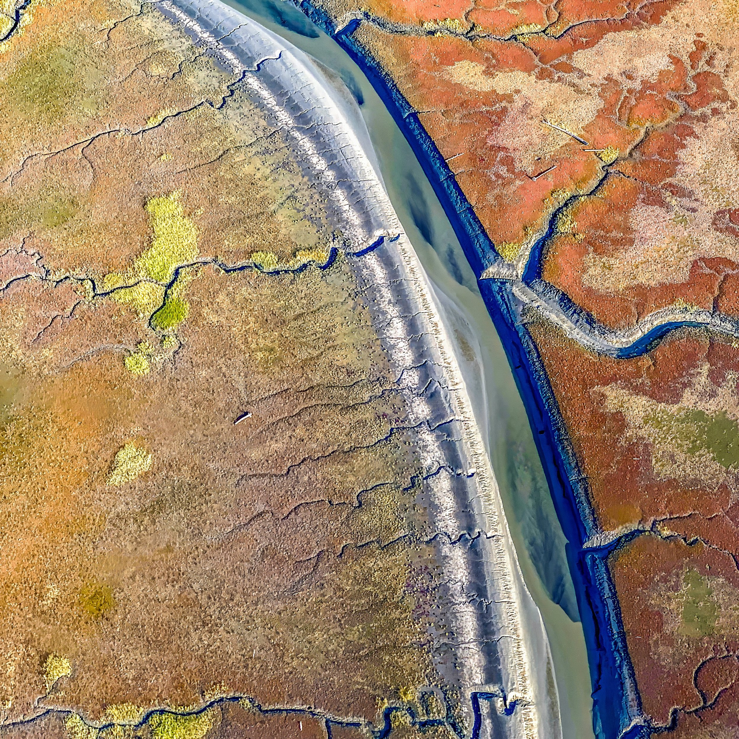 IMG_8889-topaz-denoise Lois Anderson.jpg