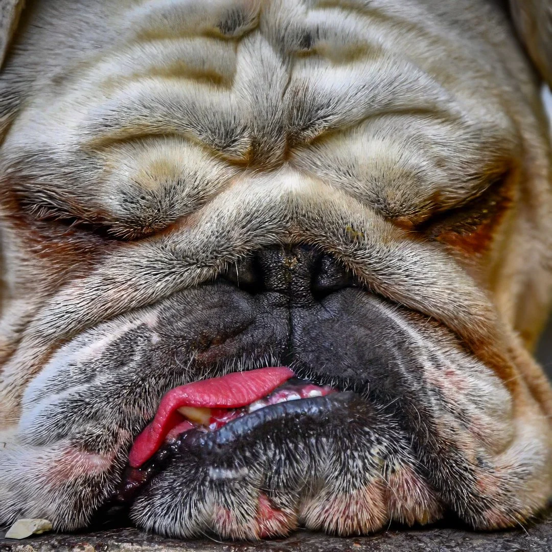 IMG_0537-topaz-denoise Lois Anderson.jpg