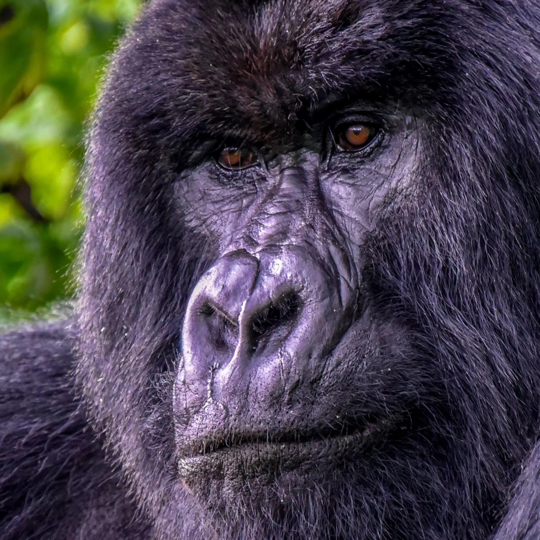 _DSC2598-topaz-denoise Lois Anderson.jpg