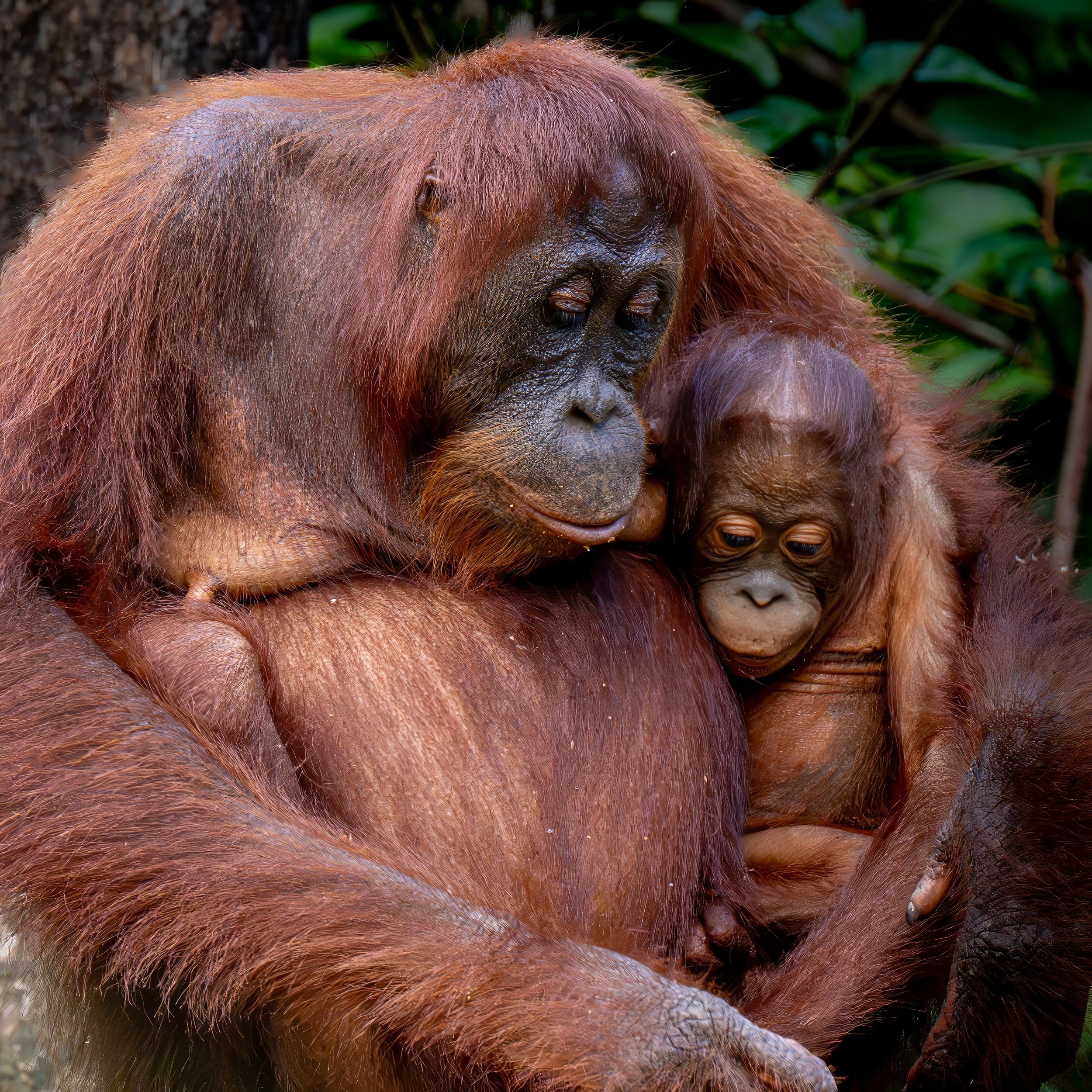 _DSC5858-Enhanced-NR-2-topaz-sharpen-face-denoise Lois Anderson.jpg