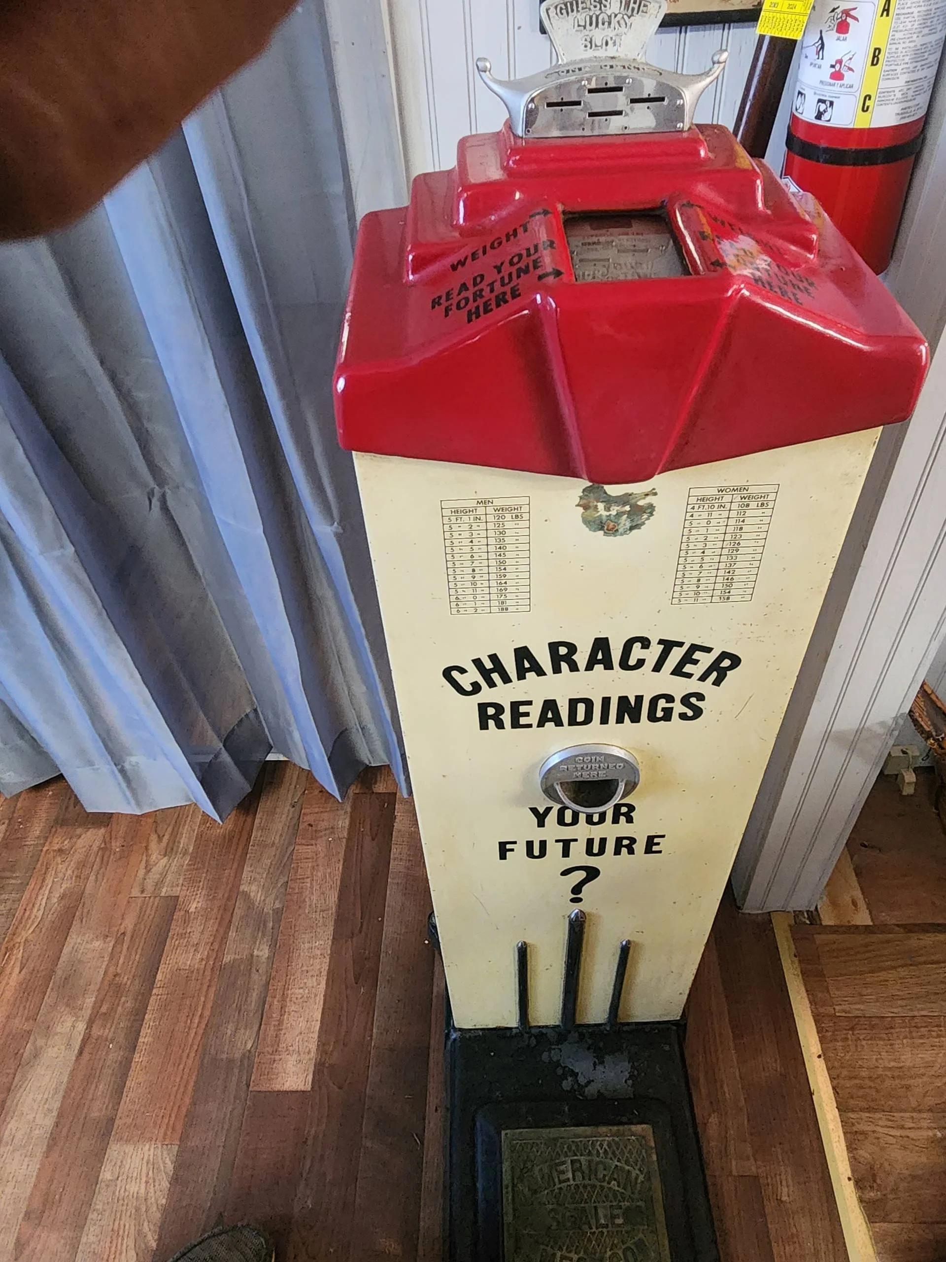 photo_2026-01-30 11.53.46.jpeg