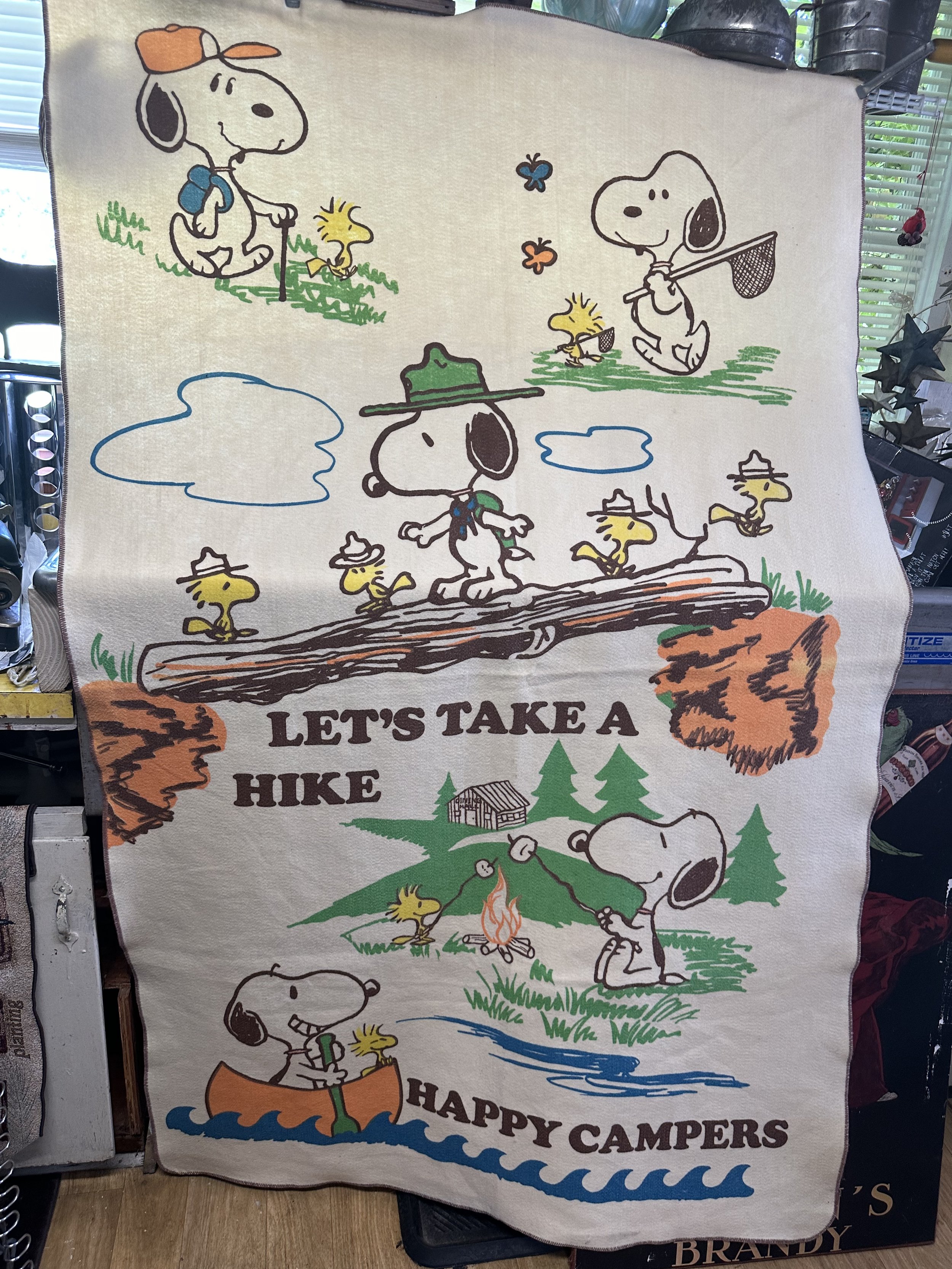 Snoopy Blanket