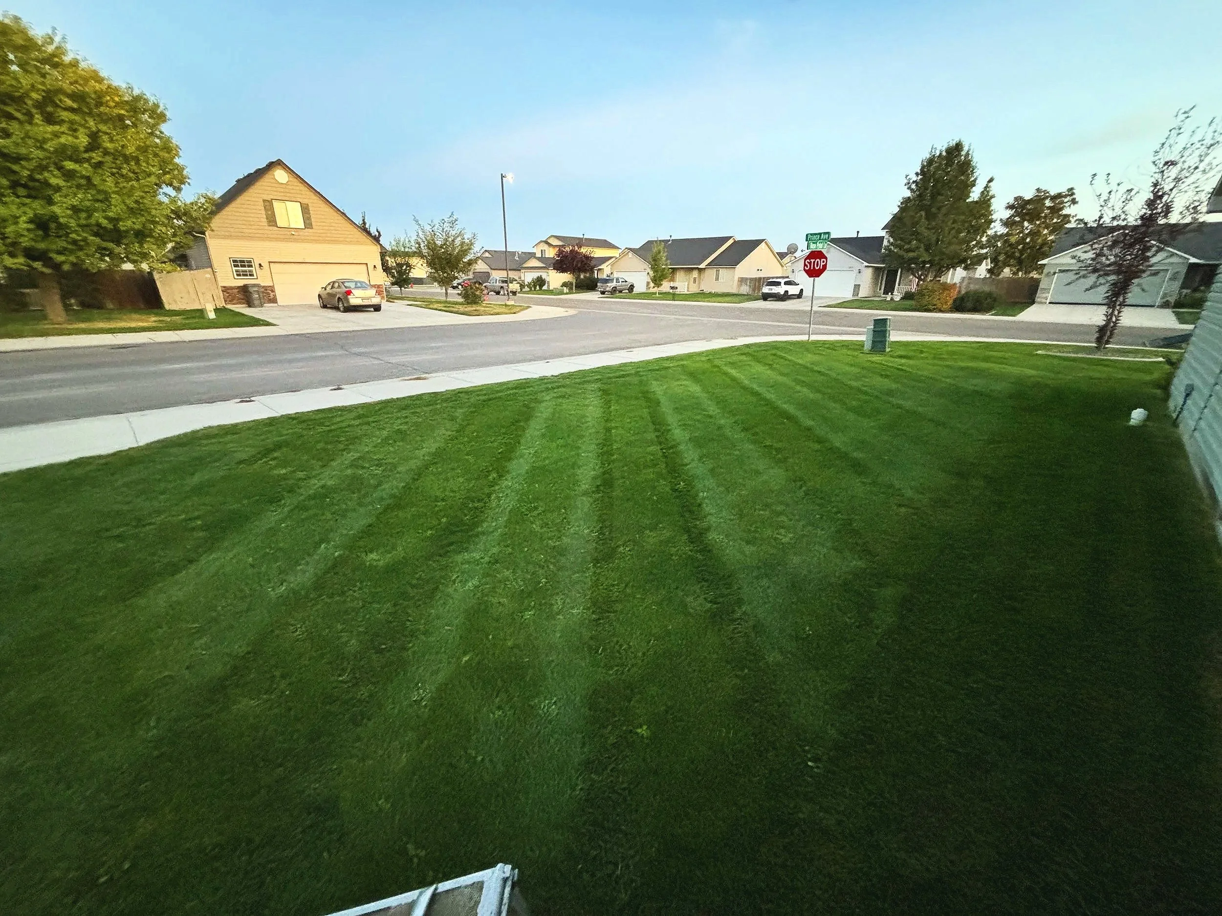Well-manicured green lawn with tire tracks, sidewalk, residential houses, stop sign, and clear blue sky in a suburban neighborhood