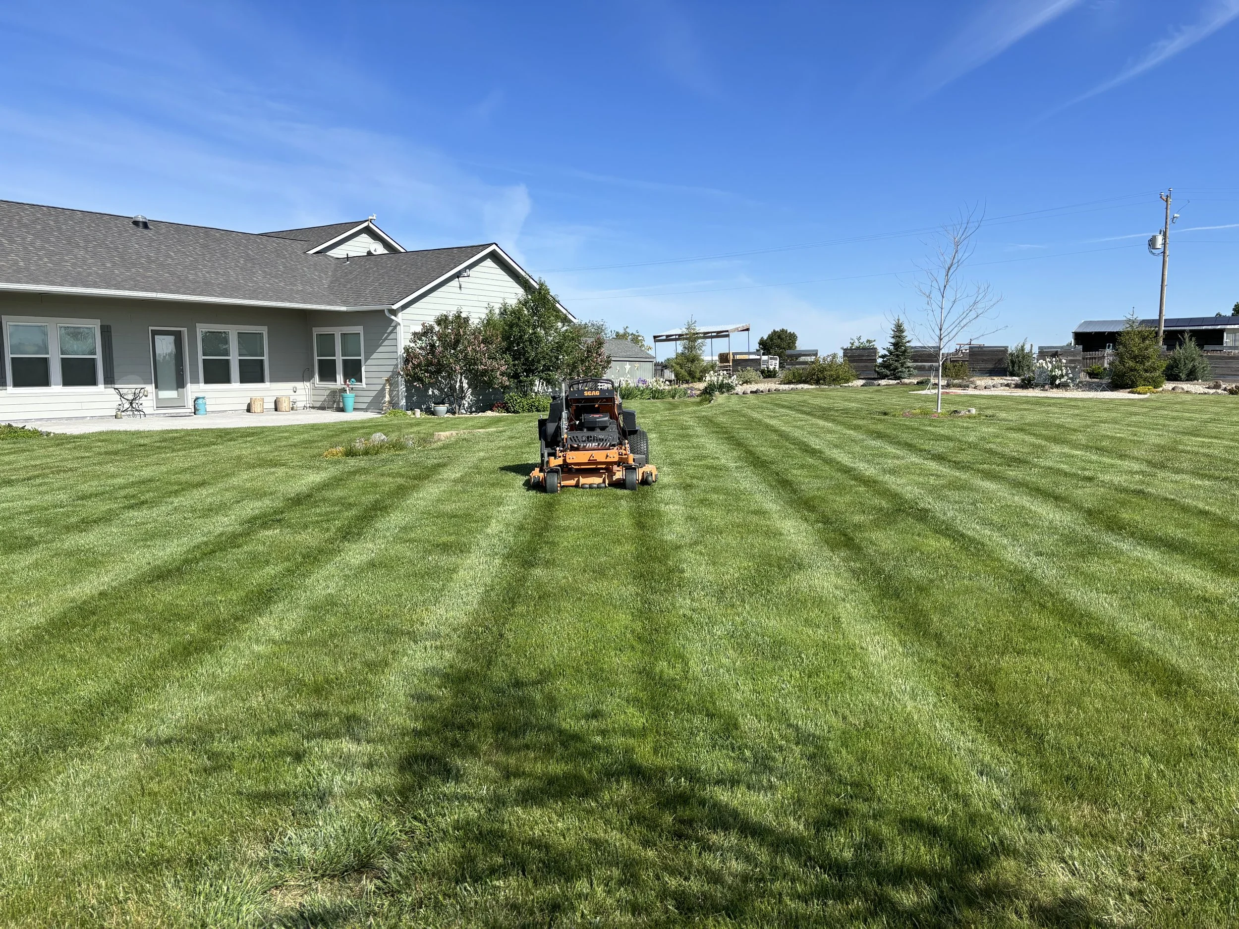 A lawn mower grass cutting a large, well-manicured backyard lawn next to a house under a clear blue sky.