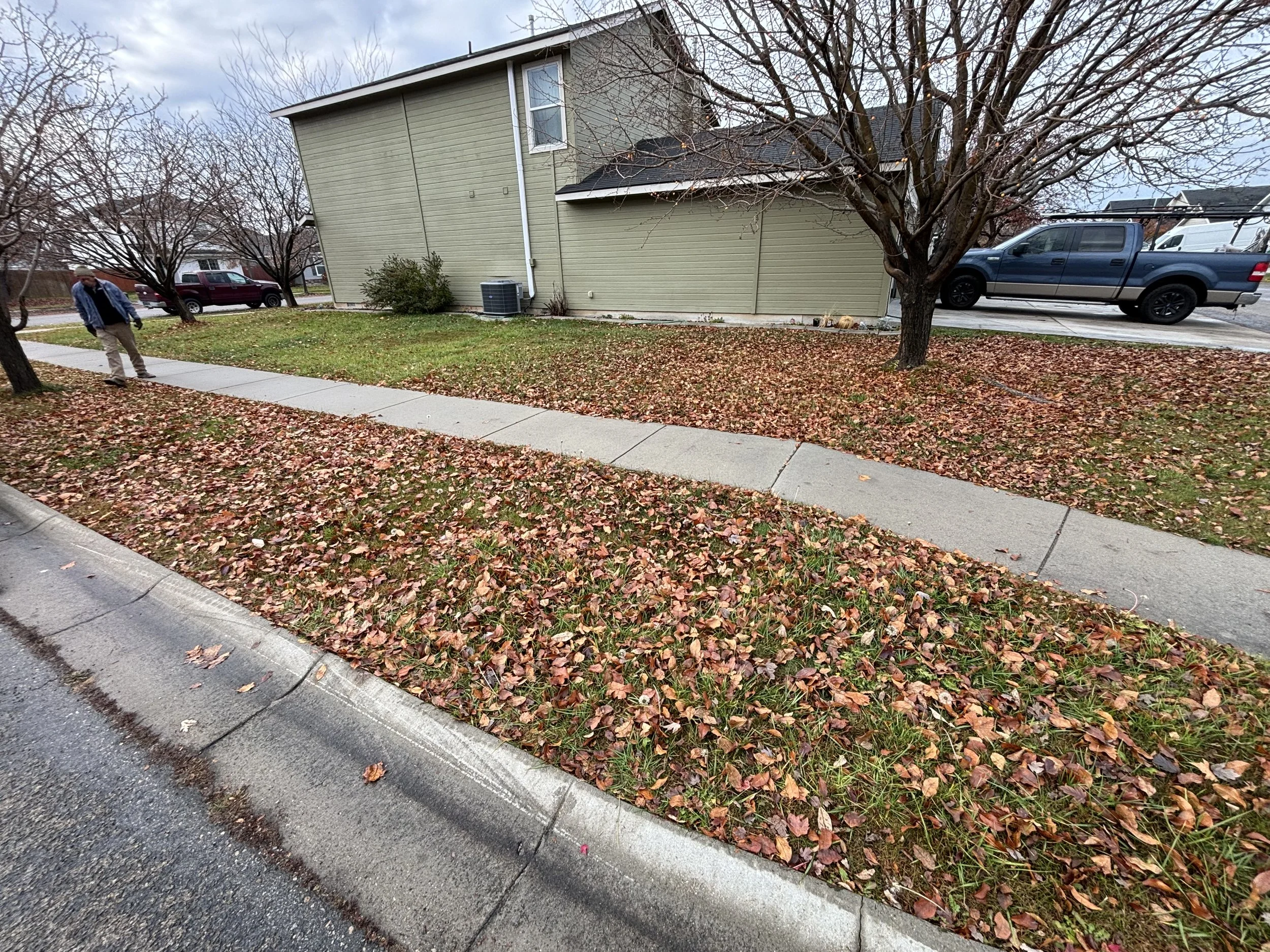 Residential neighborhood sidewalk with fallen leaves, trees, a parked blue truck, and a person walking on the sidewalk.
