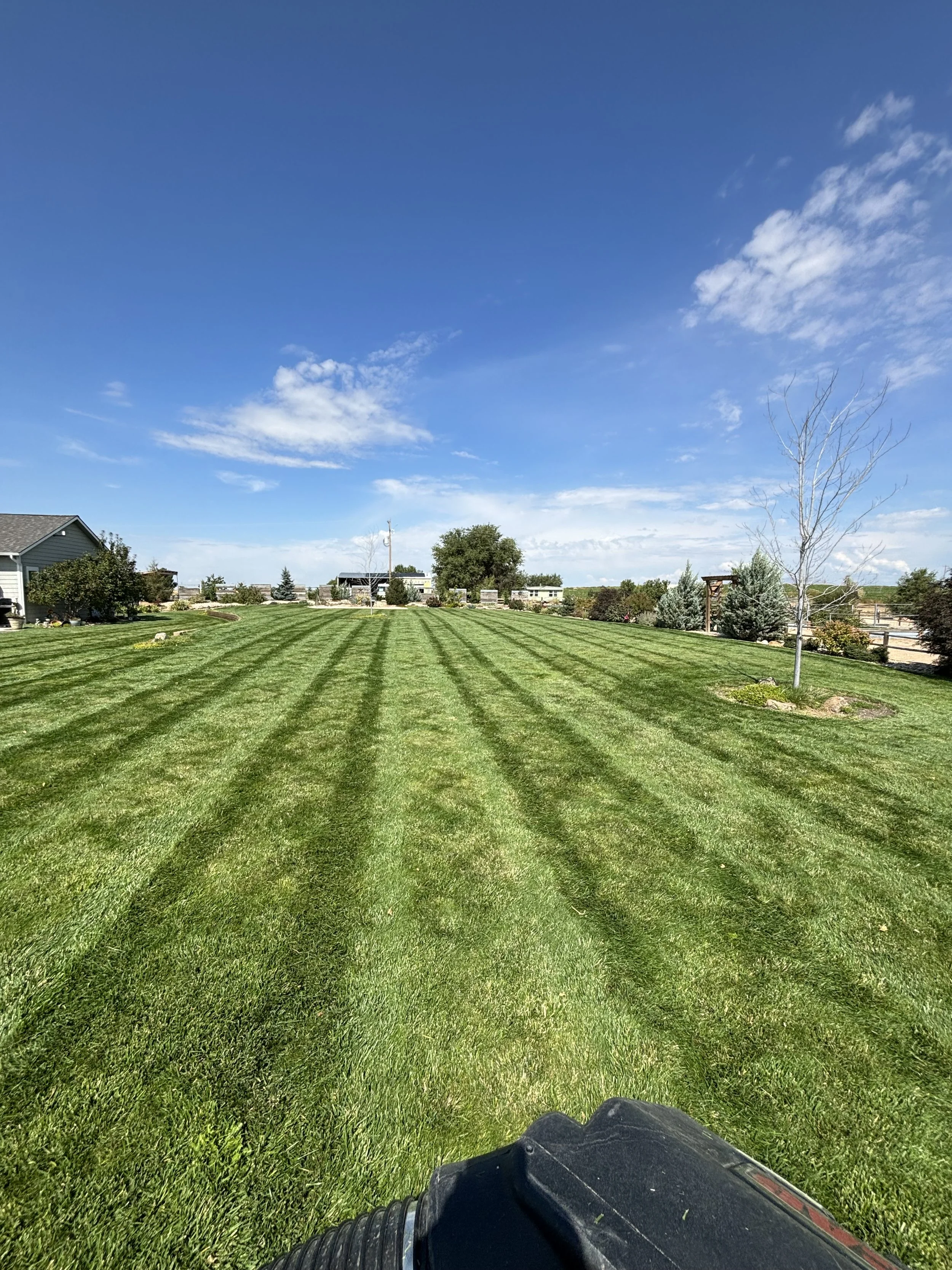 A well-manicured front yard with freshly mowed grass showing striped patterns, surrounded by some trees and small bushes, under a blue sky with light clouds.