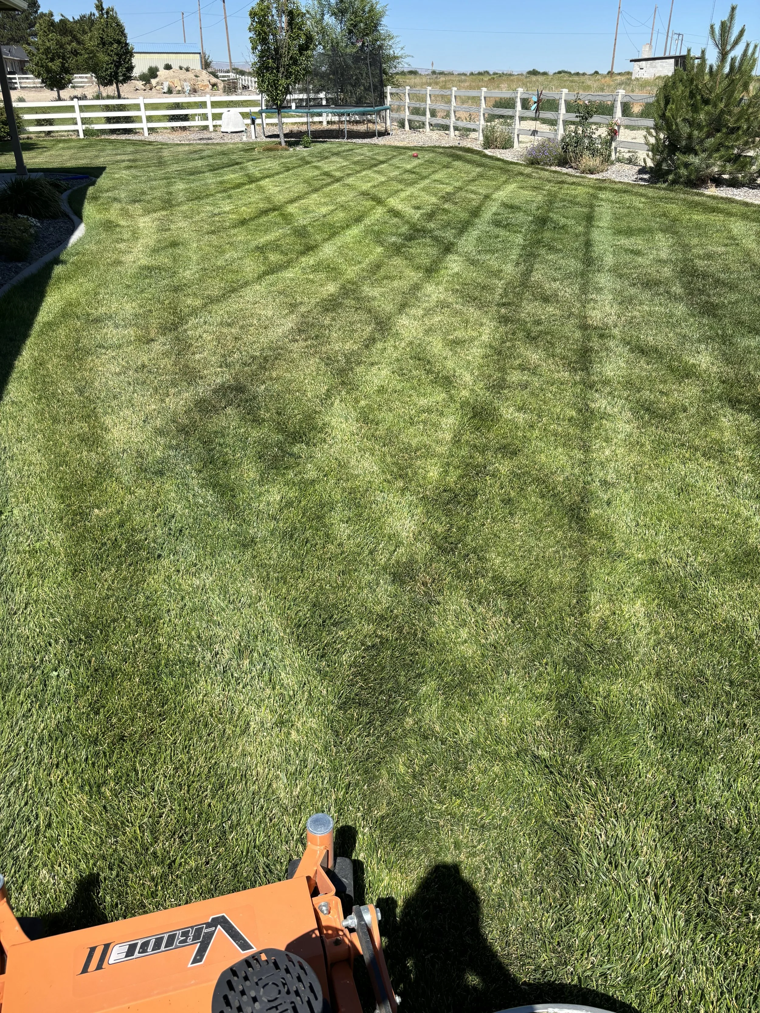 Lawn being mowed with a push mower in a backyard with green grass, trees, and a white fence.