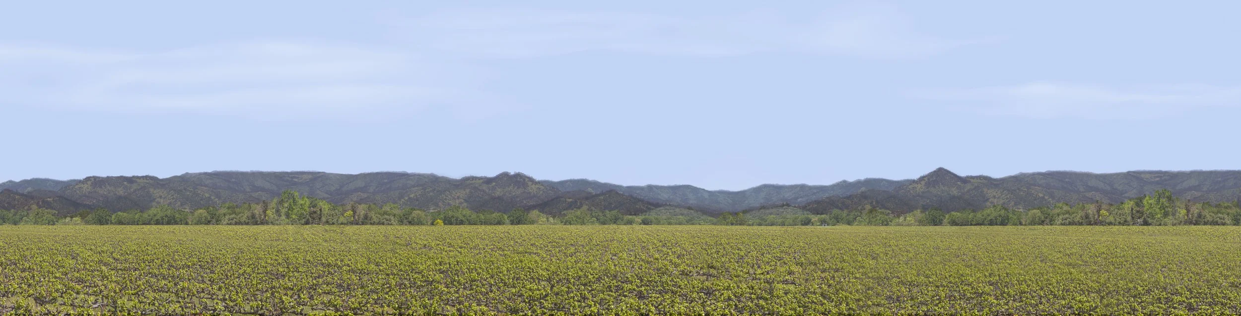 Production Facility Day Backdrop, Kings of Napa S1