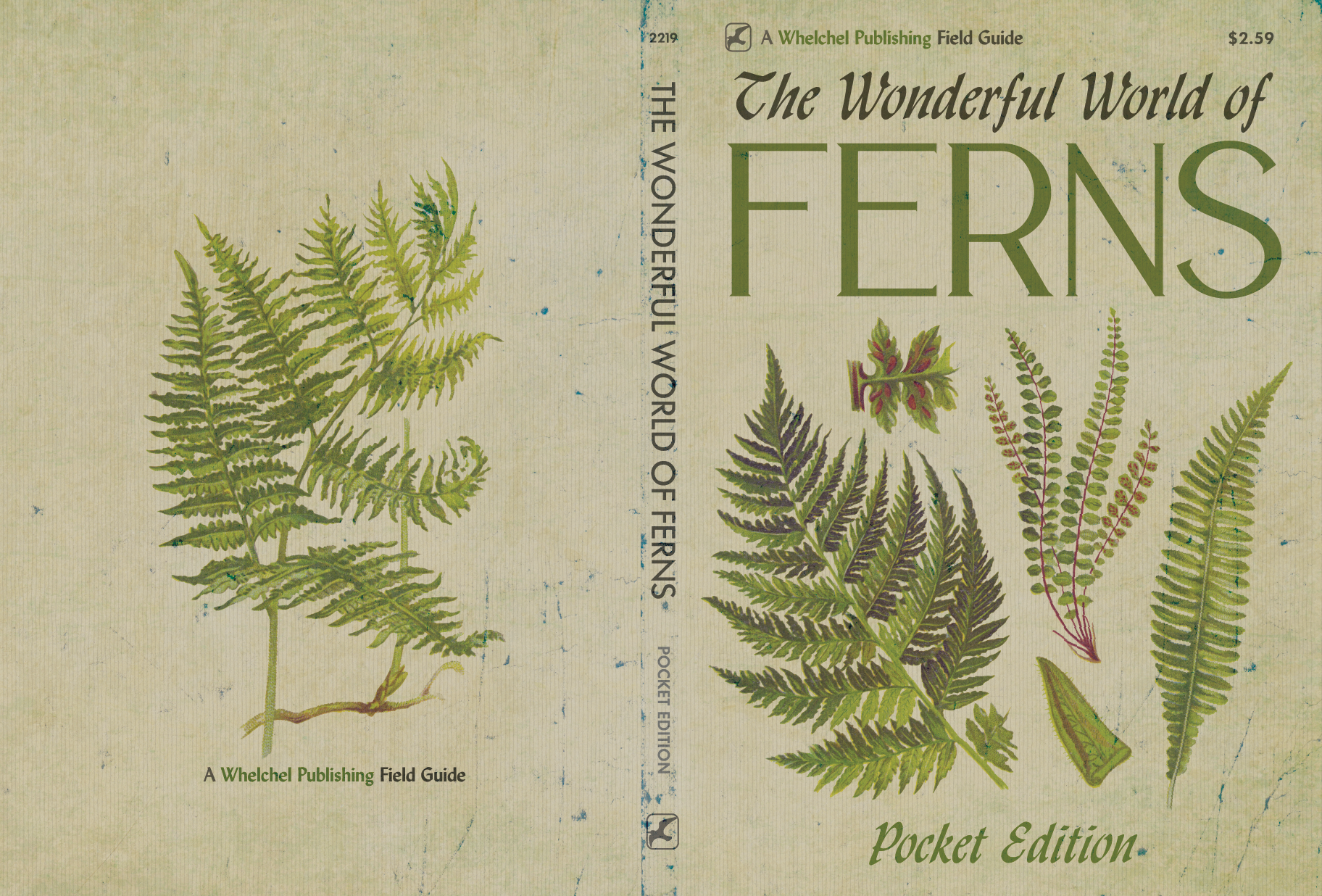 Old Fern Book, Brilliant Minds S1