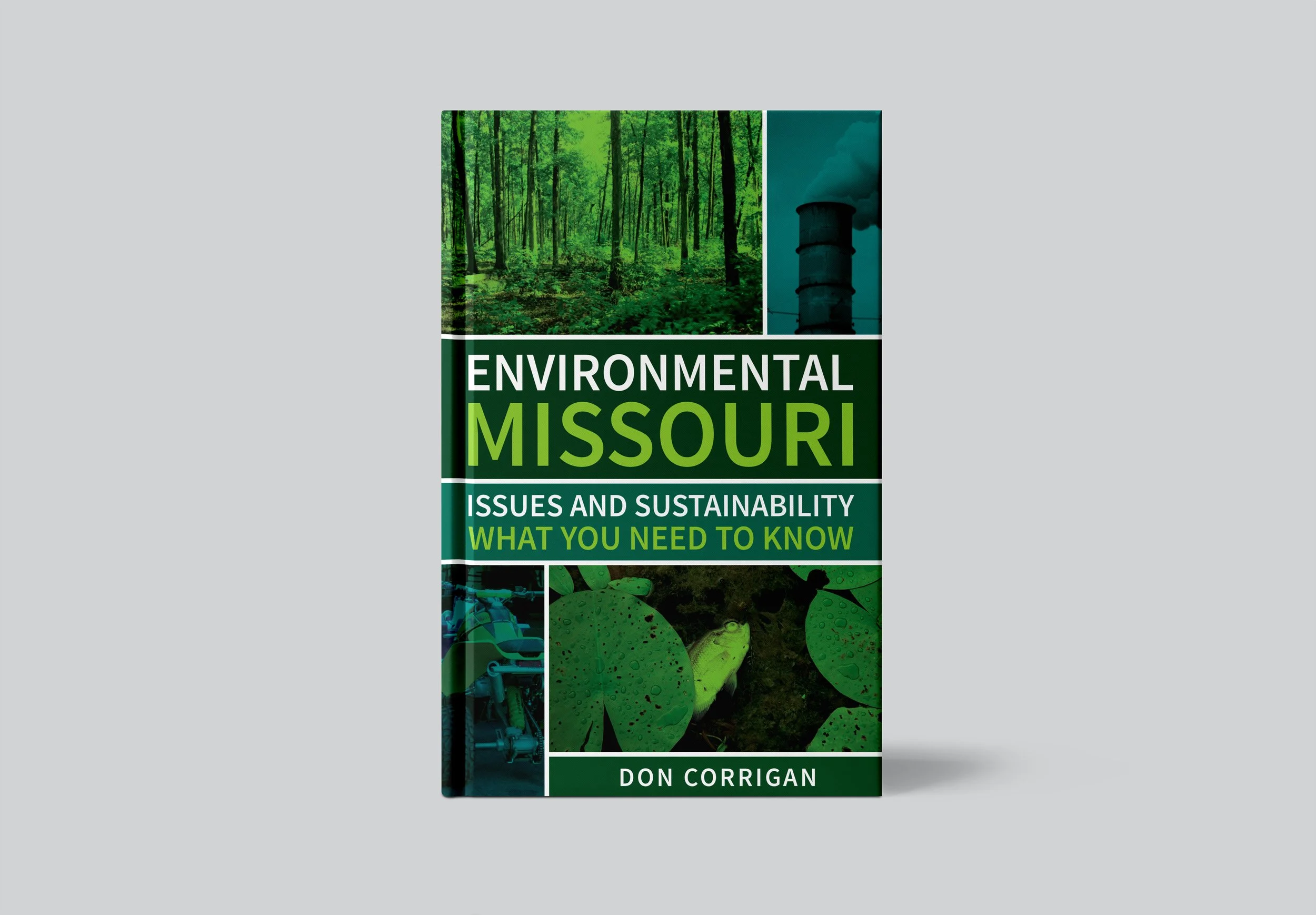 Portfolio_Environmental MO.jpg