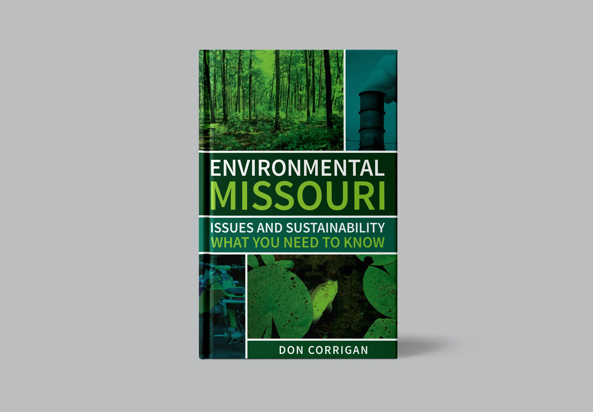 Portfolio_Environmental MO.jpg