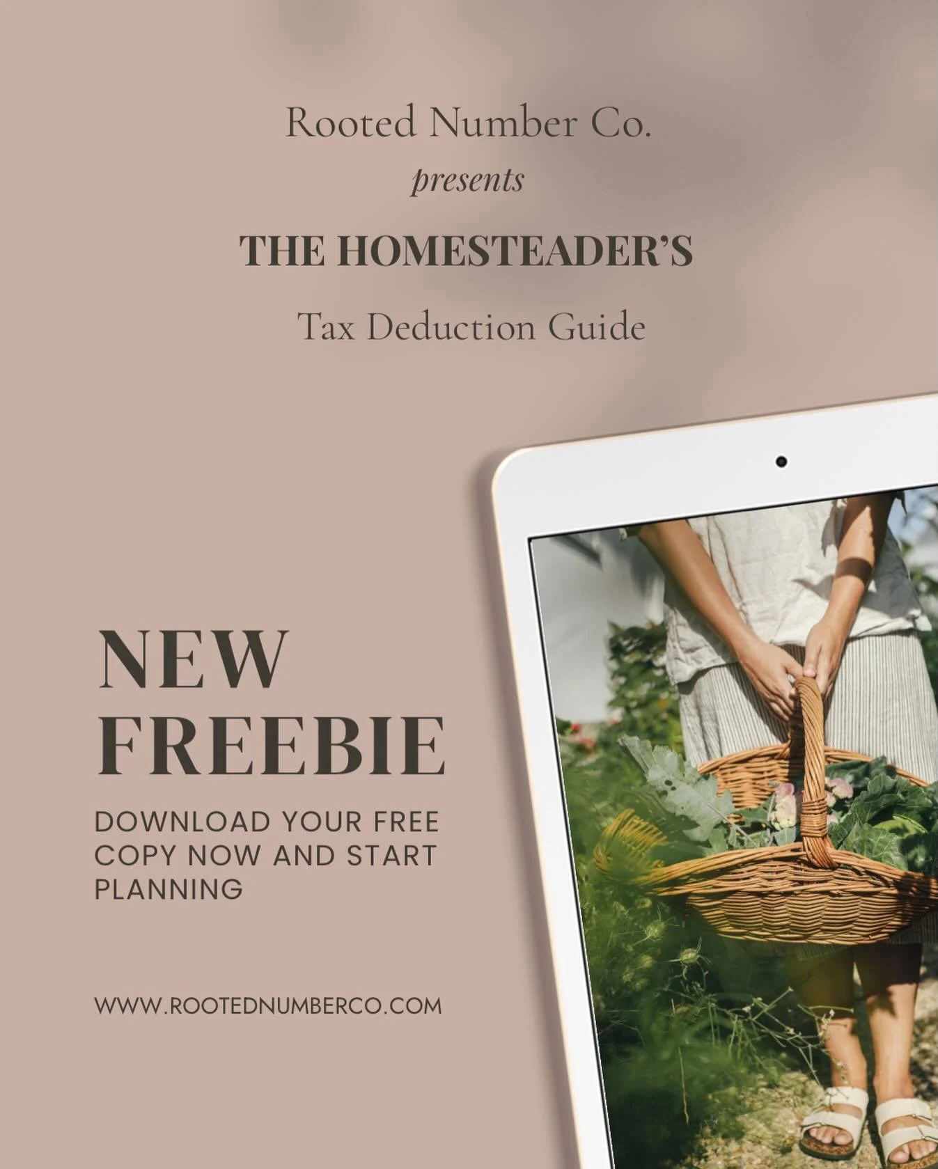 You work hard to build something rooted in the land. Your bookkeeping should work just as hard for you.

The Homesteader&rsquo;s Tax Deduction Guide is here. Built specifically for farmers, cottage food businesses, herbalists, and natural product mak