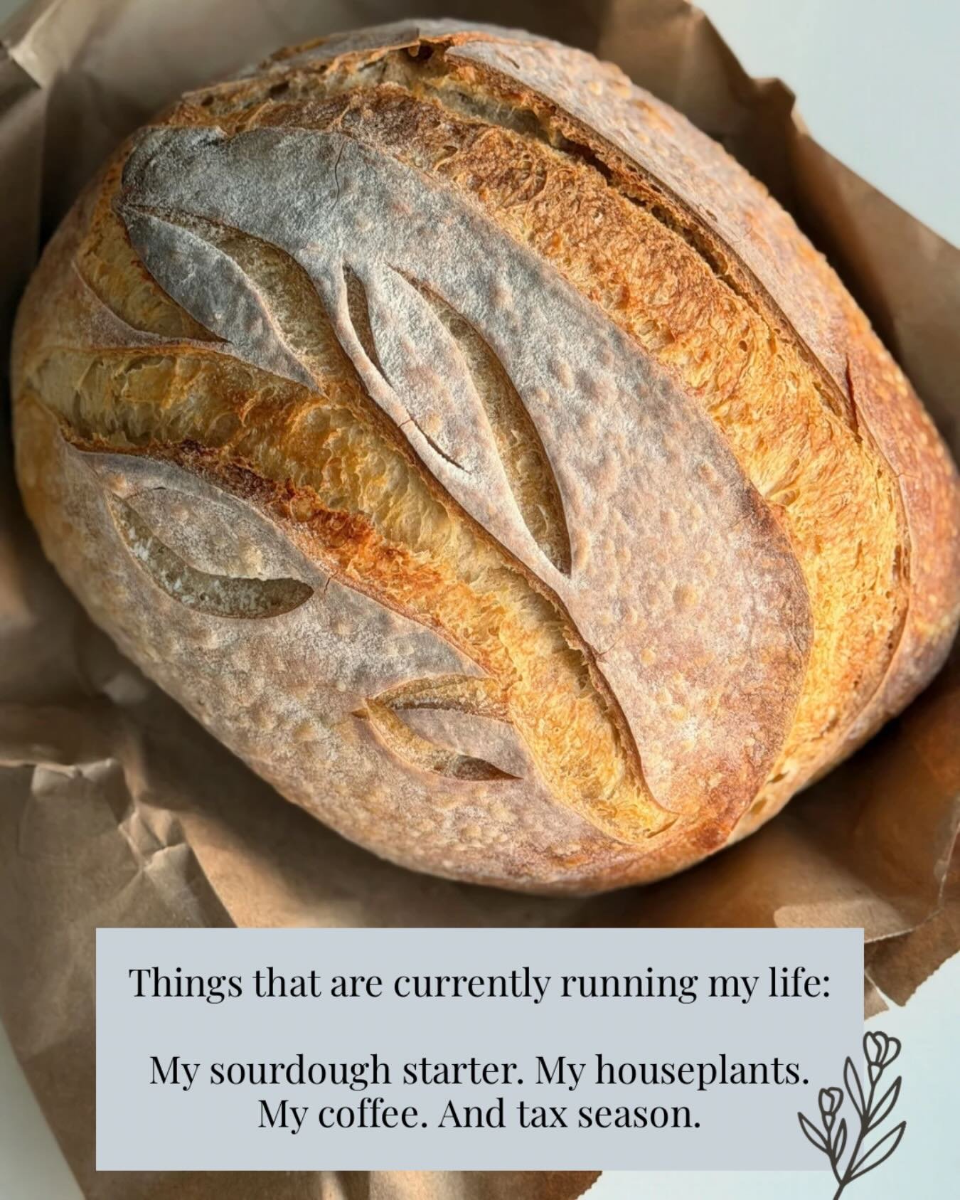 Sourdough starter on the counter, houseplants taking over every windowsill, coffee in hand, and tax deadlines on the brain. Honestly? I wouldn&rsquo;t have it any other way.

This time of year is chaotic and cozy all at once, and I love that my work 
