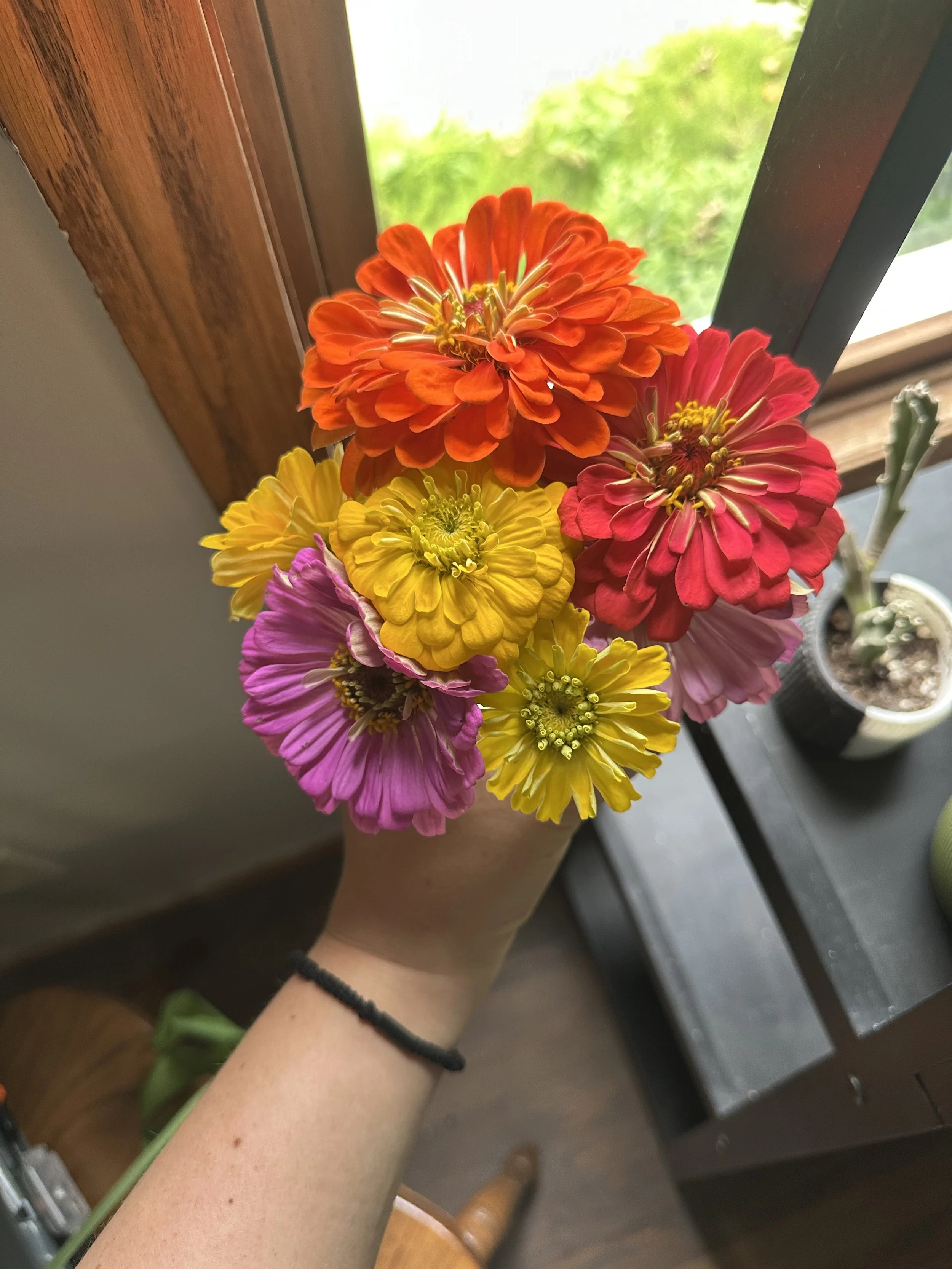 Seasonal Garden Update + How I Stay Organized as a Solo Business Owner