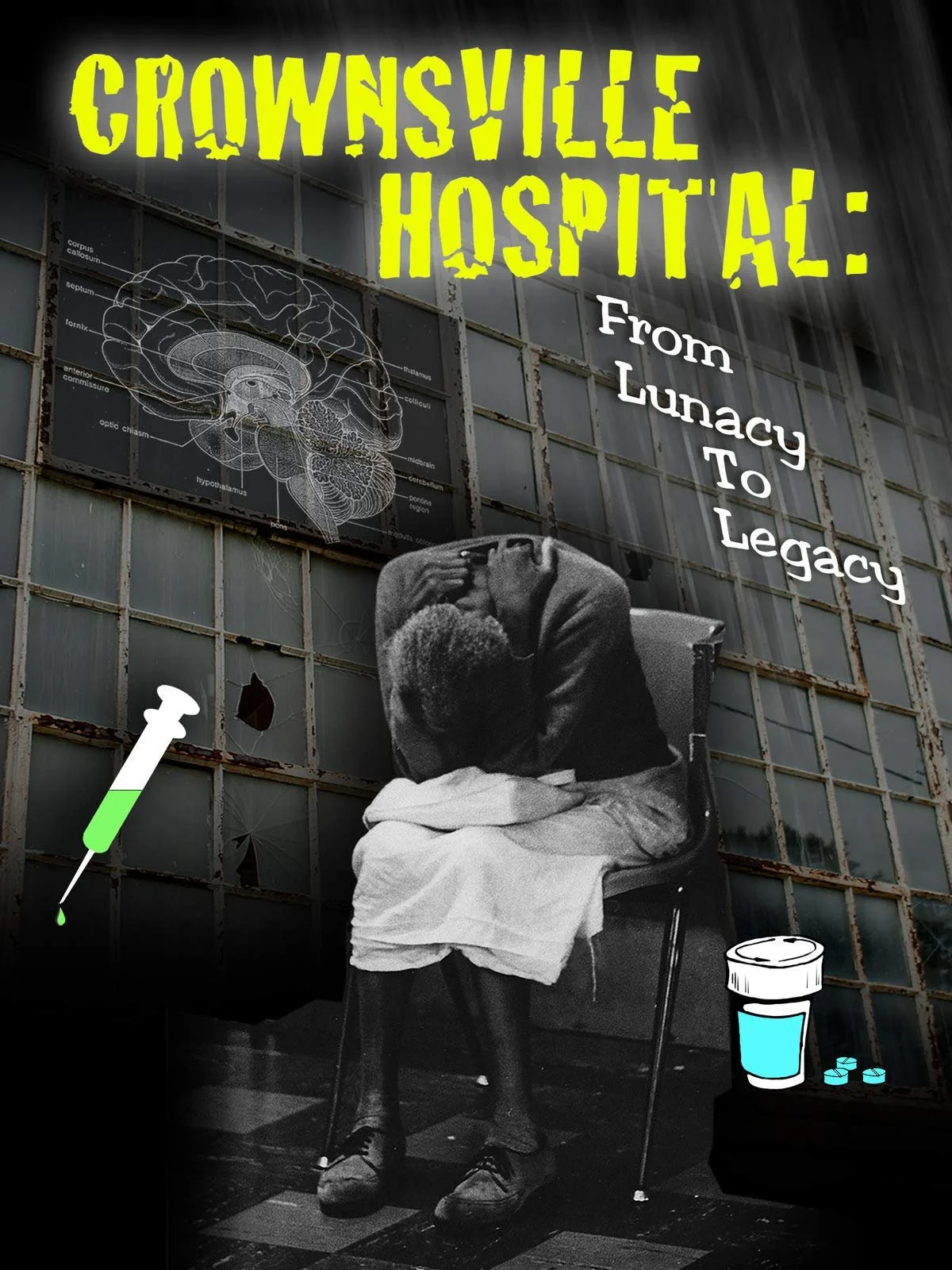 Crownsville Hospital Poster.jpg