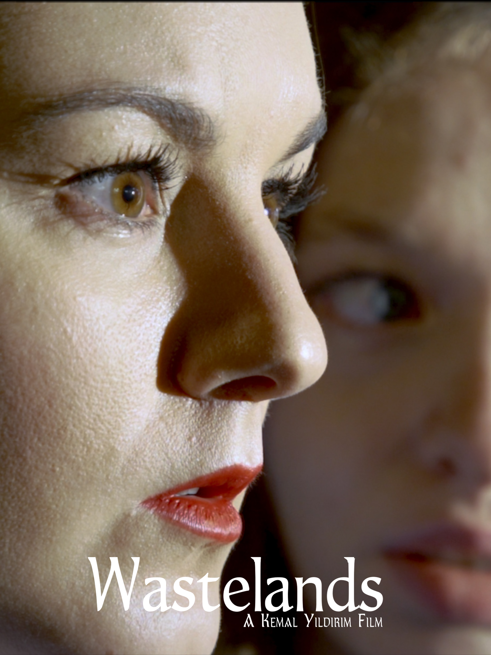 Wastelands ALT art 1 with Txt (1).png