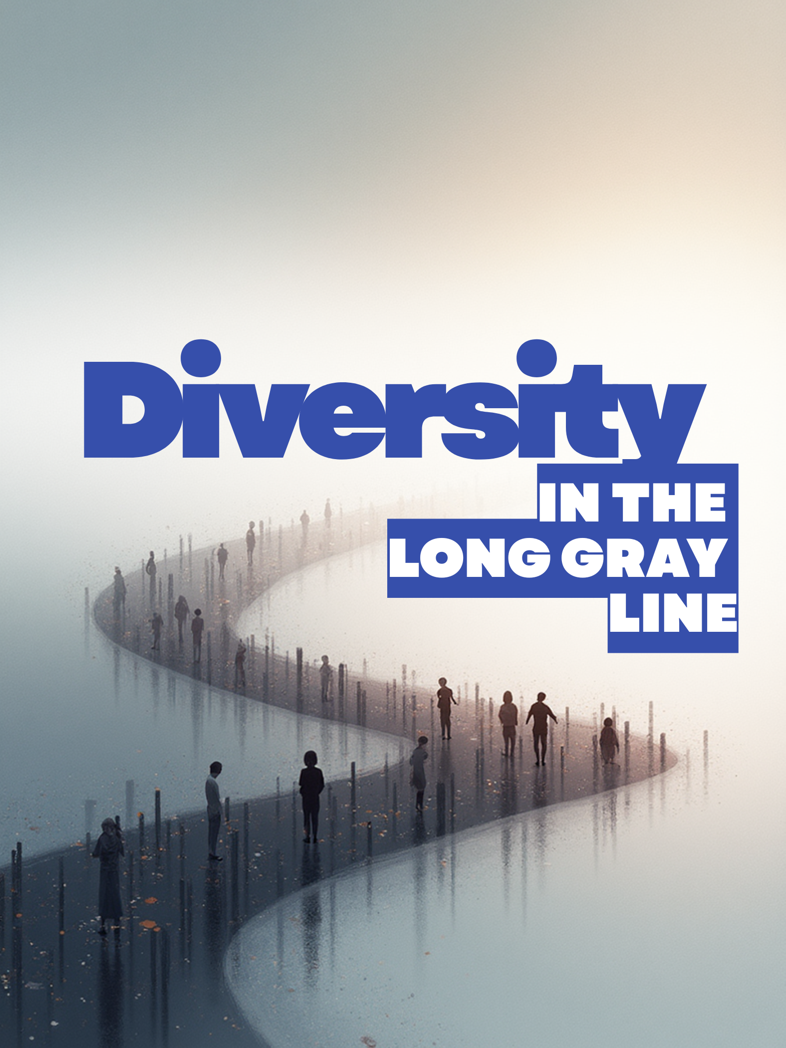 diversity in the long gray line poster .png