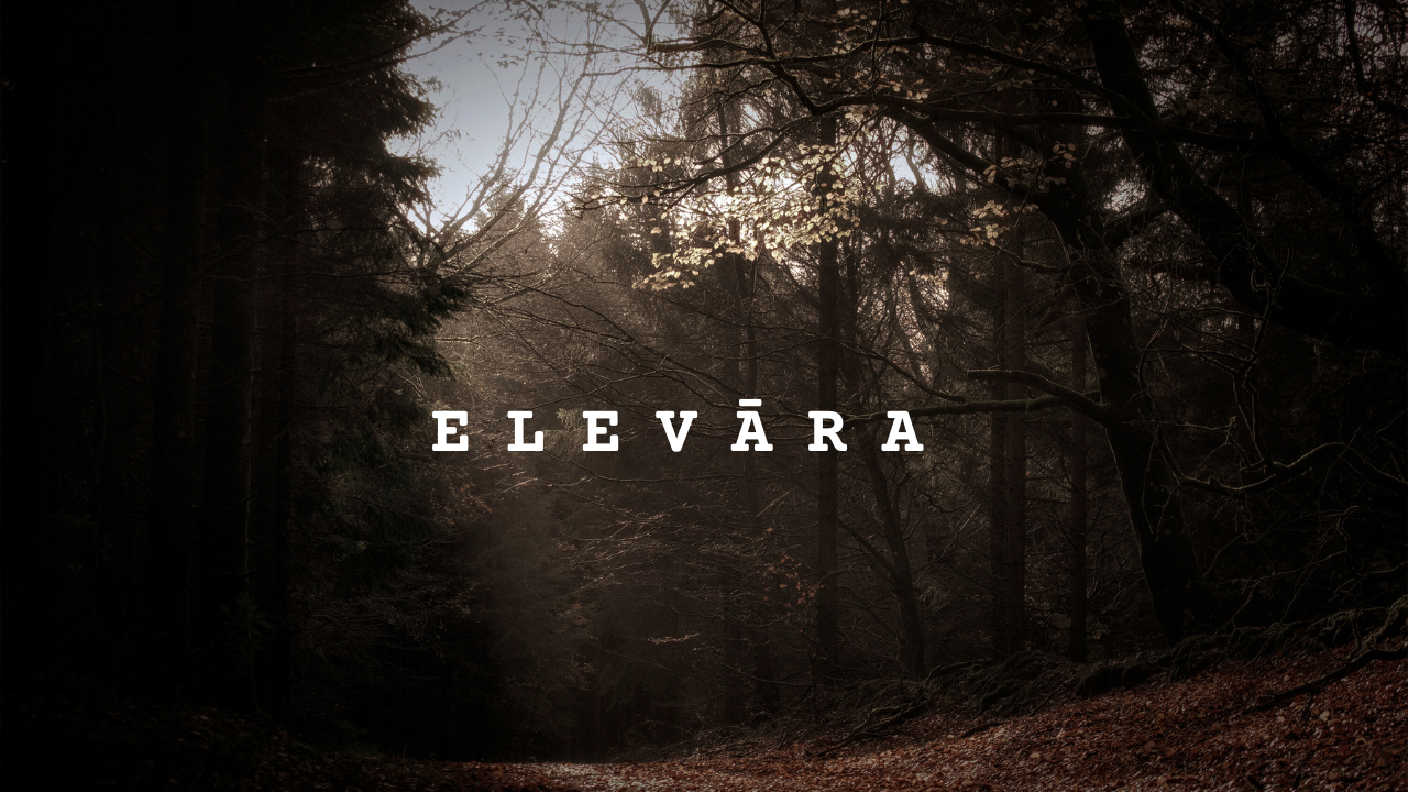 Foresta con albero in fiore e luce sullo sfondo, testo 'ELEVARA' in primo piano.