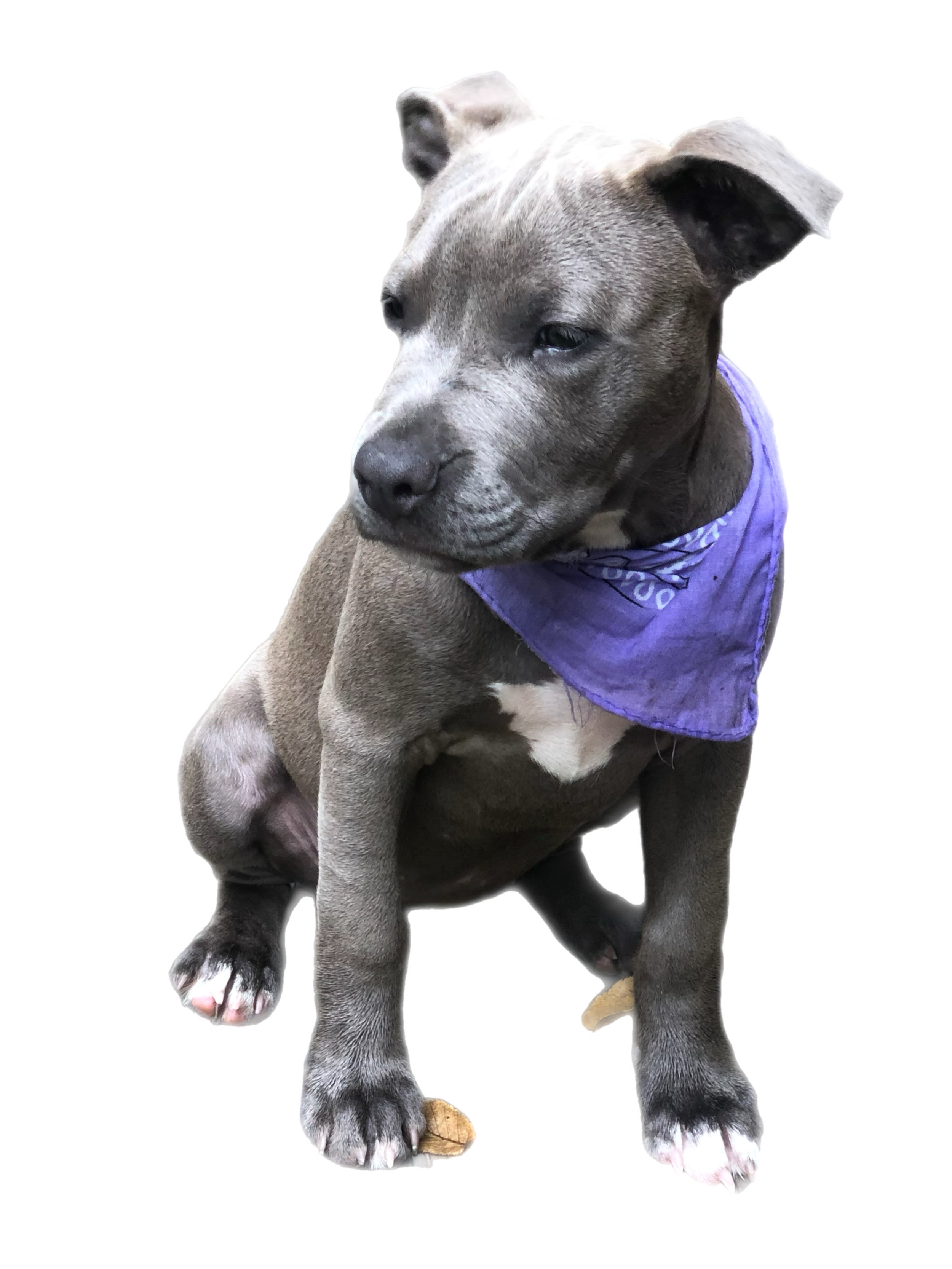 Body Scan Session (20 minutes)