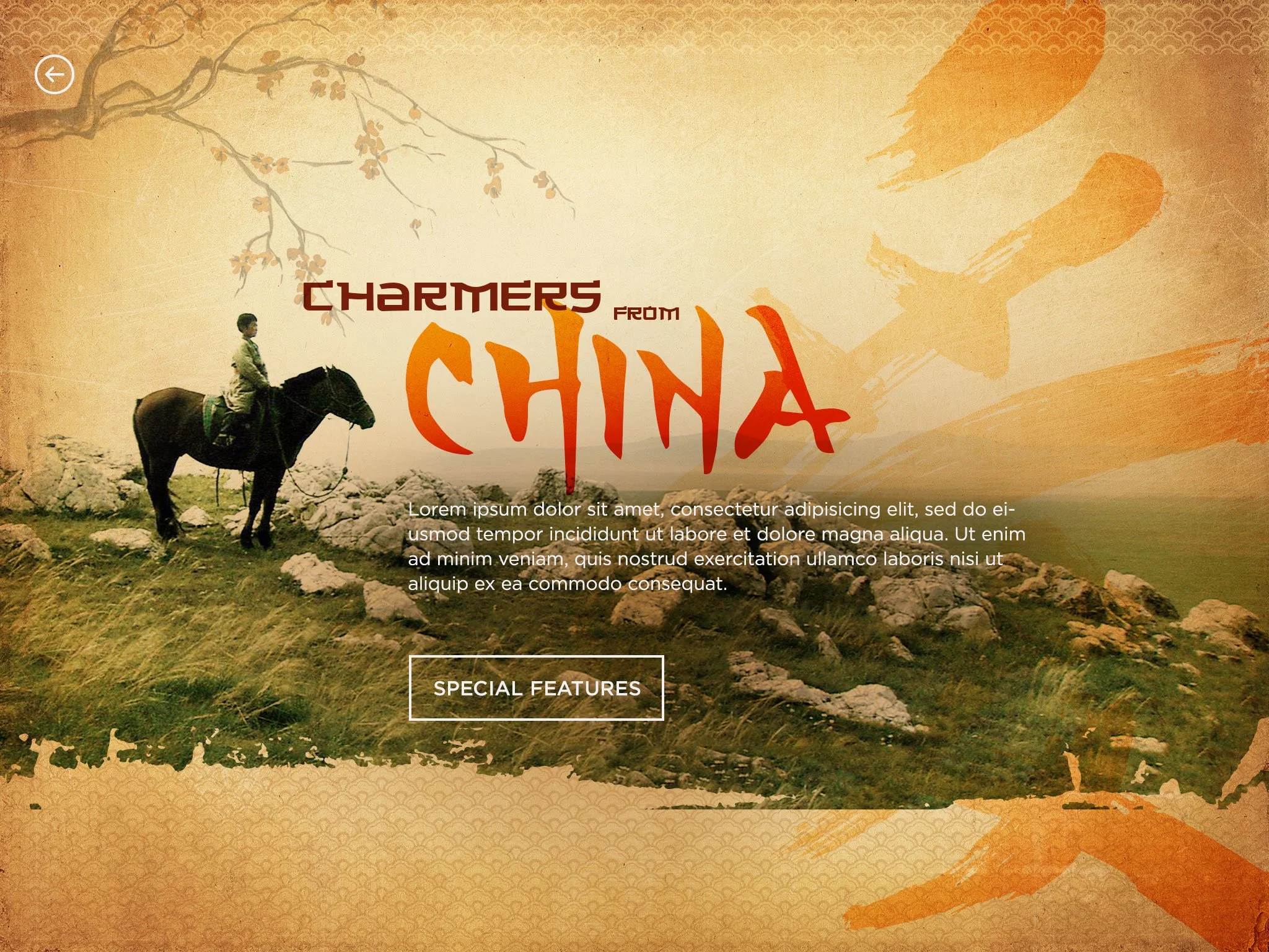 ThemeBackground_Tablet_CharmersFromChina.jpg