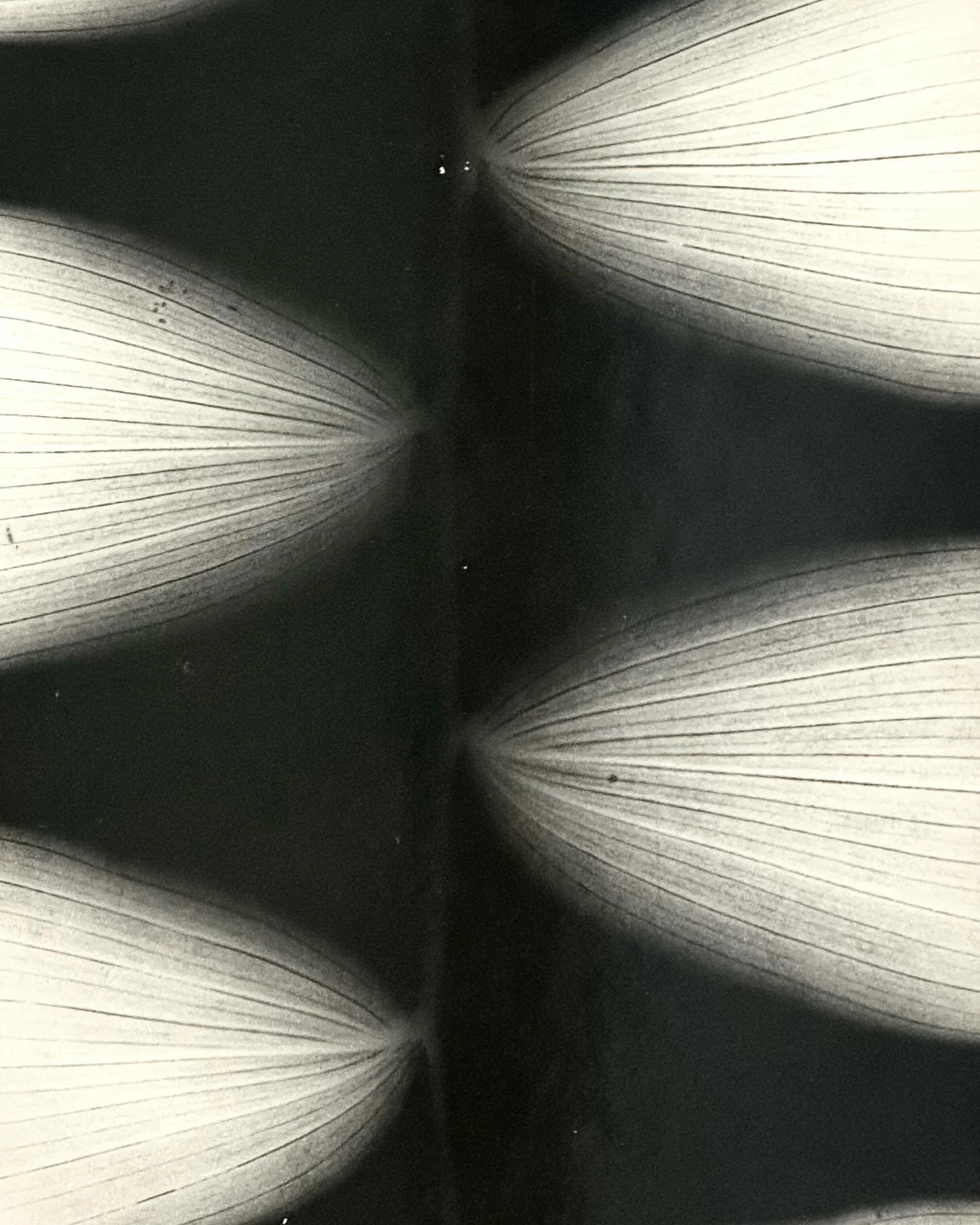 Kilian Breier (1931-2011) was a German artist and photographer who studied with Otto Steinert and Oskar Holweck in the 1950s and became a professor for photography himself in Darmstadt and Hamburg from the 1960s to 1999. His photographic oeuvre which