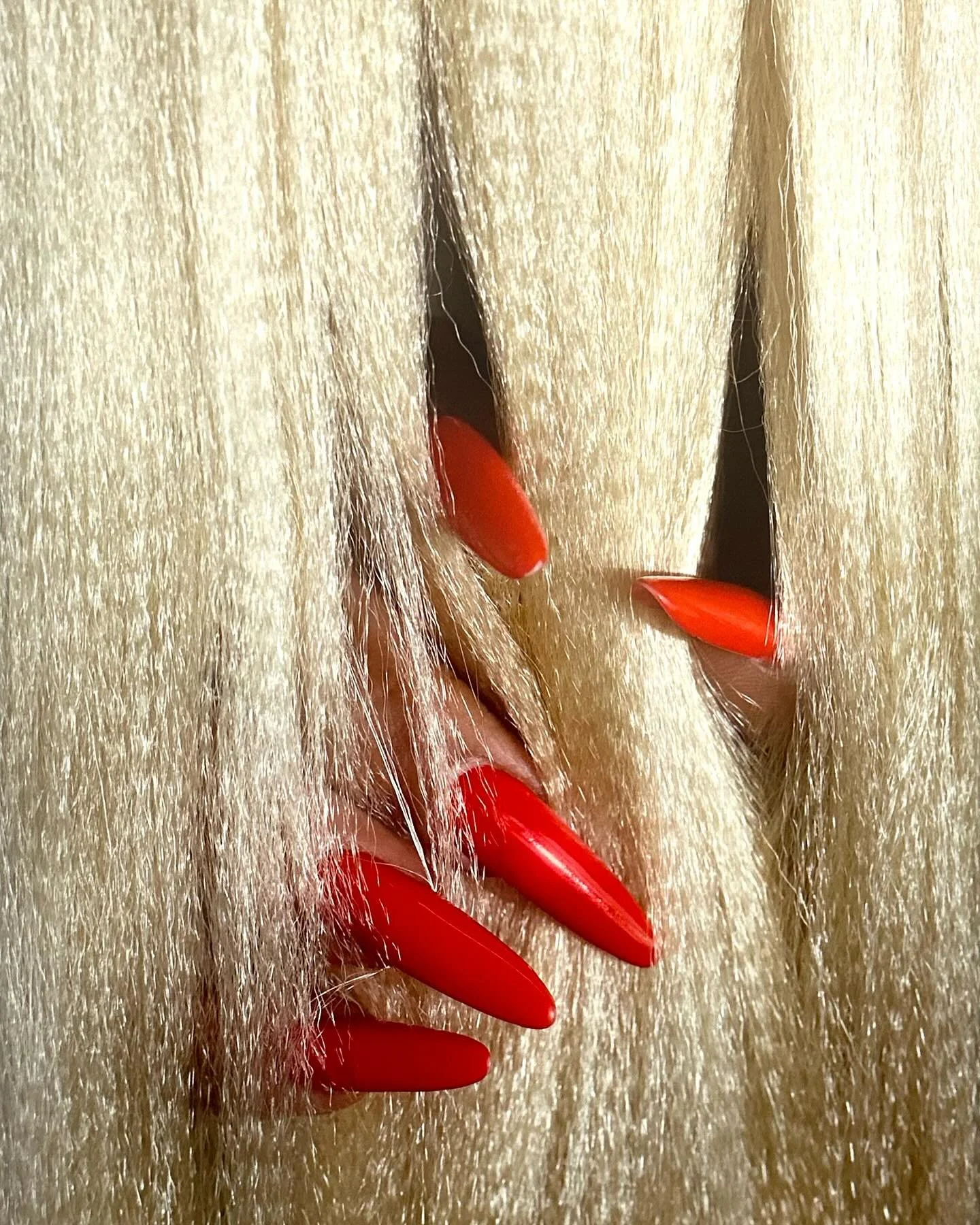 Collecting Photography with a theme - why not HAIR?? A wonderful widespread and deeply human subject as can be seen in the fantastic exhibition &bdquo;Show it, Grow it!&ldquo; at Folkwang Museum in Essen, Germany, curated by Thomas Seelig and Miriam 