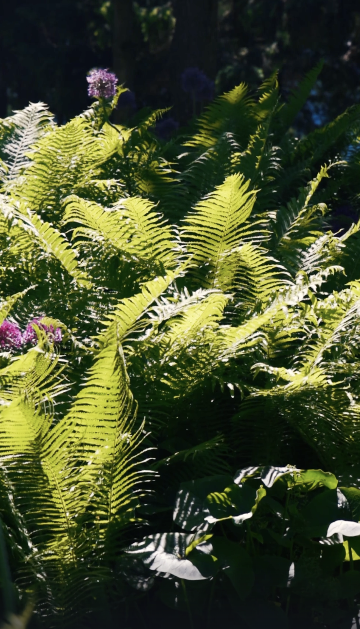 Screenshot 2026-03-12 at 8.48.15 PM.png