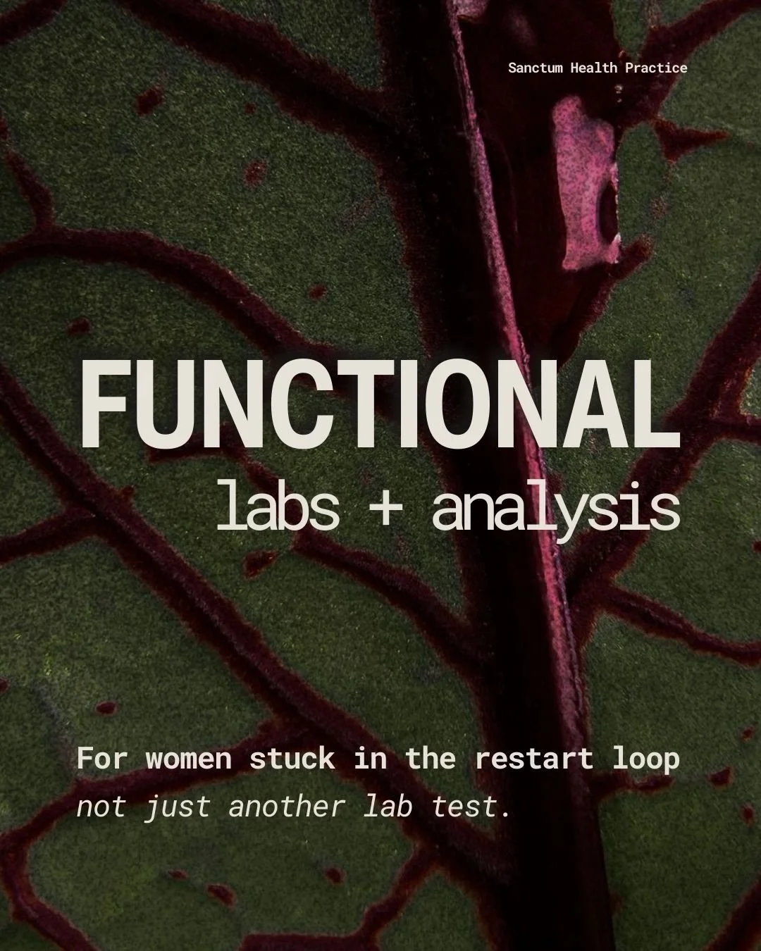You got your labs back. Everything&rsquo;s &ldquo;normal.&rdquo;
But you don&rsquo;t feel normal.

The disconnect between what the numbers say and how you actually feel is maddening.

This is the gap I fill.

Labs + Analysis is a comprehensive bloodw
