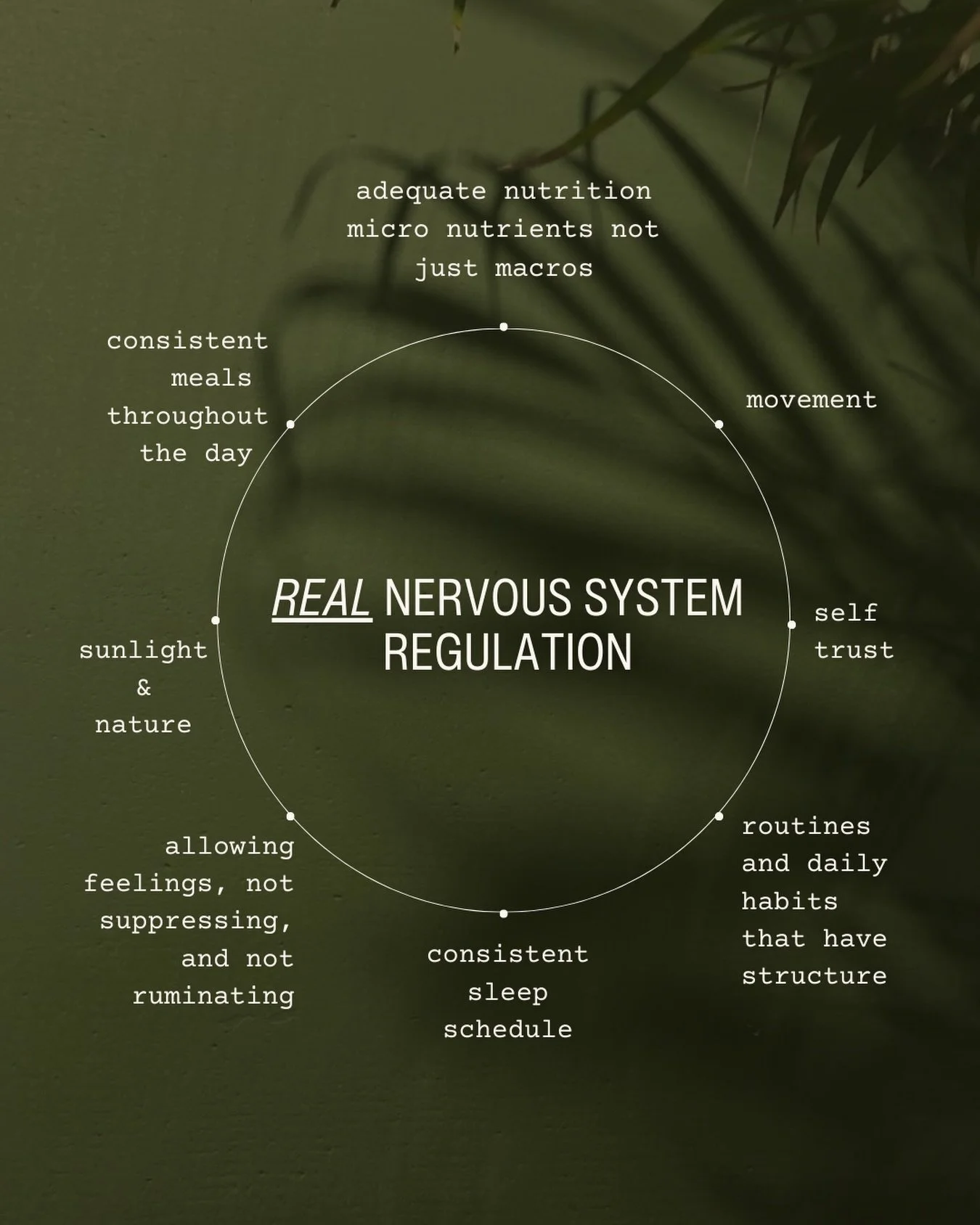Real nervous system regulation isn&rsquo;t a single technique. It isn&rsquo;t something you go &ldquo;do&rdquo; or perform. And it isn&rsquo;t a mindset.

It&rsquo;s what emerges when the body receives enough consistent signals of safety to stop brac