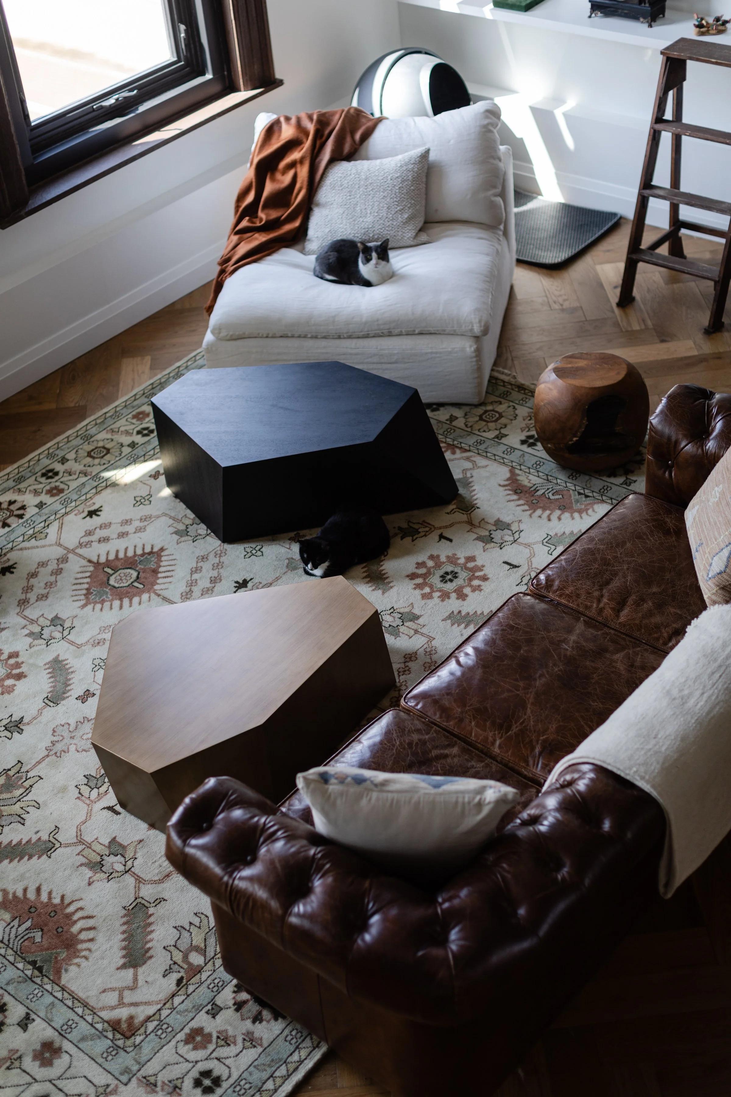 Winnipeg residential living room by Canvas Design Studio