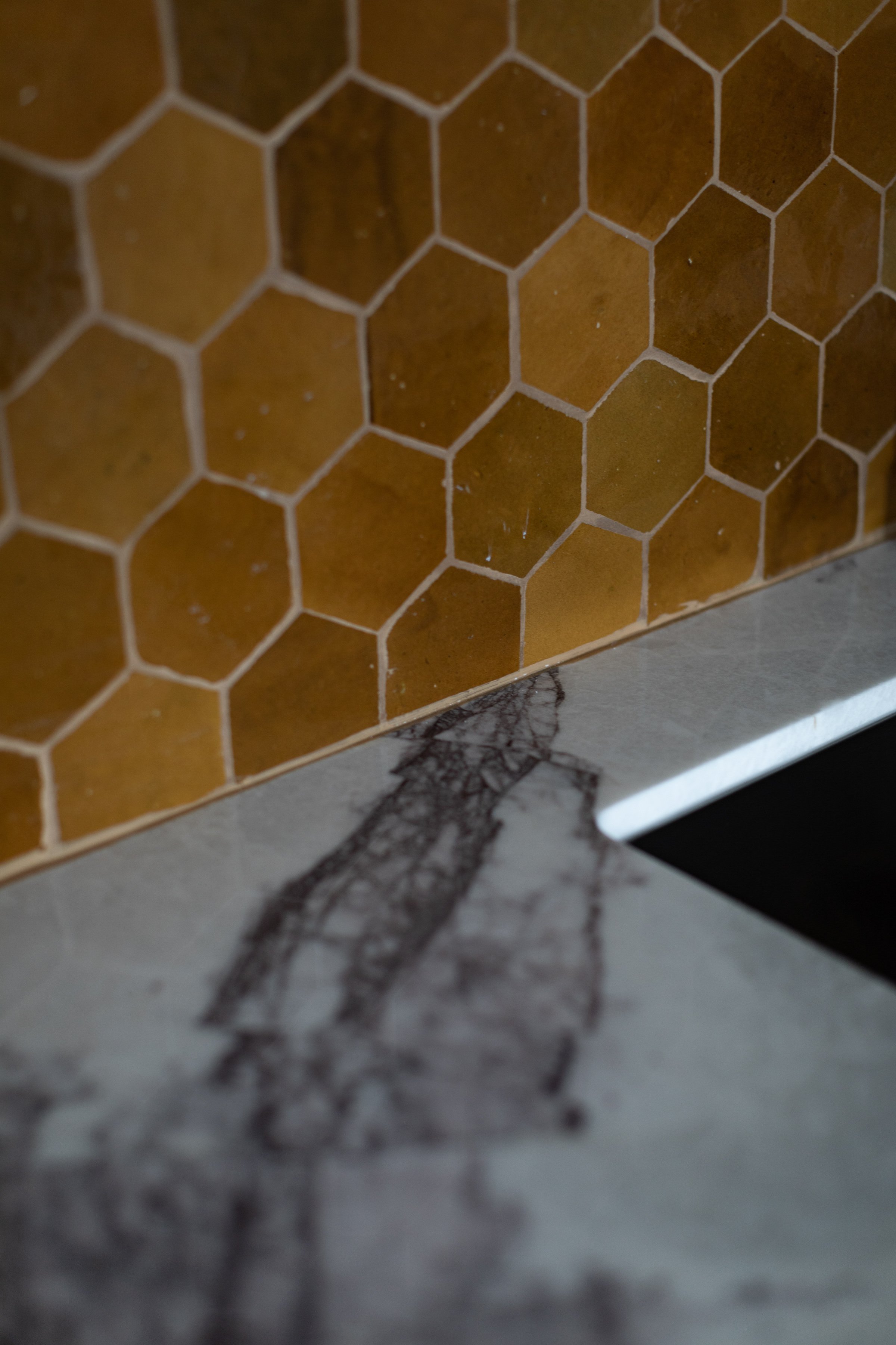 Winnipeg residential kitchen by Canvas Design Studio