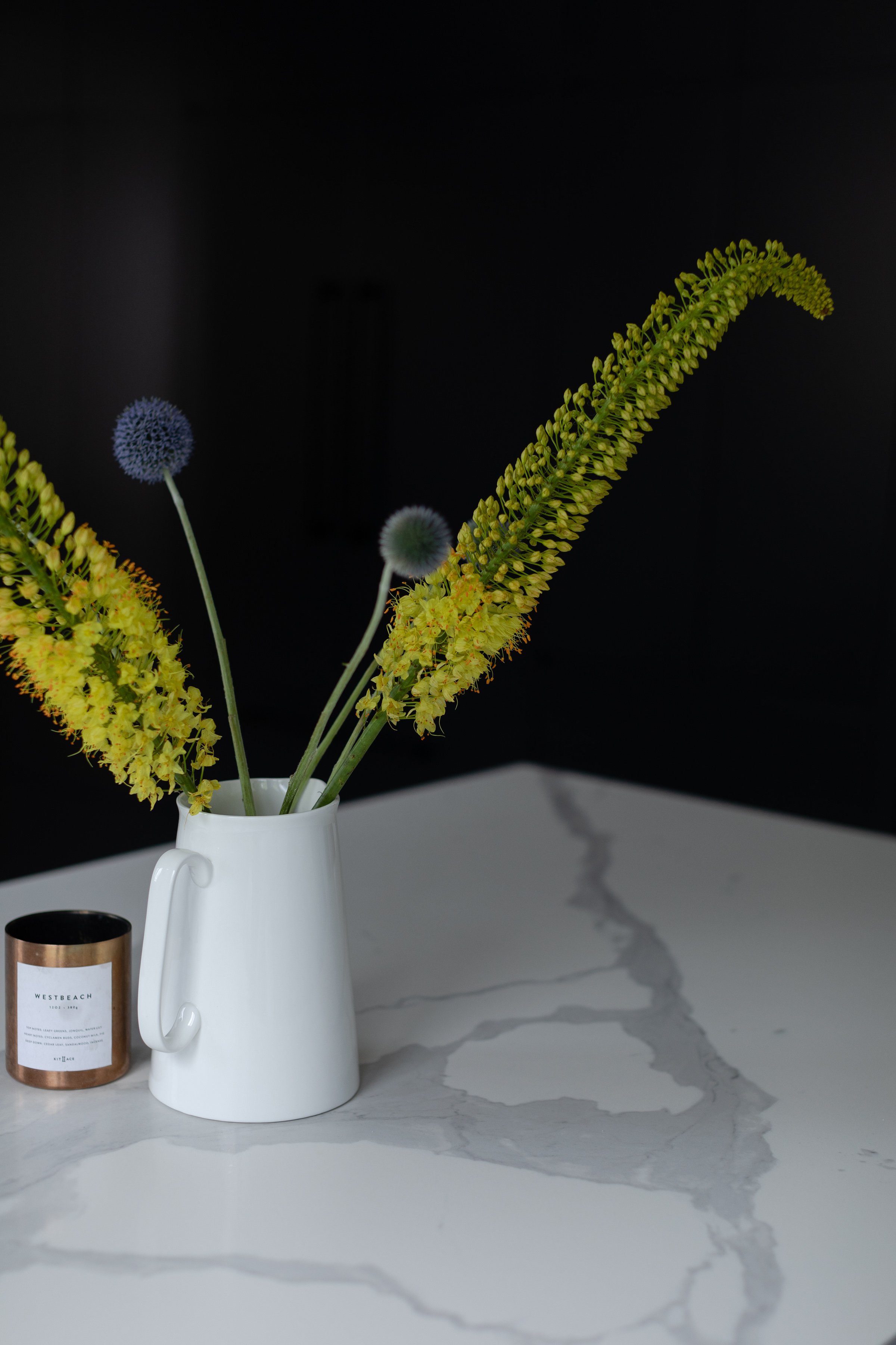 Winnipeg residential kitchen by Canvas Design Studio