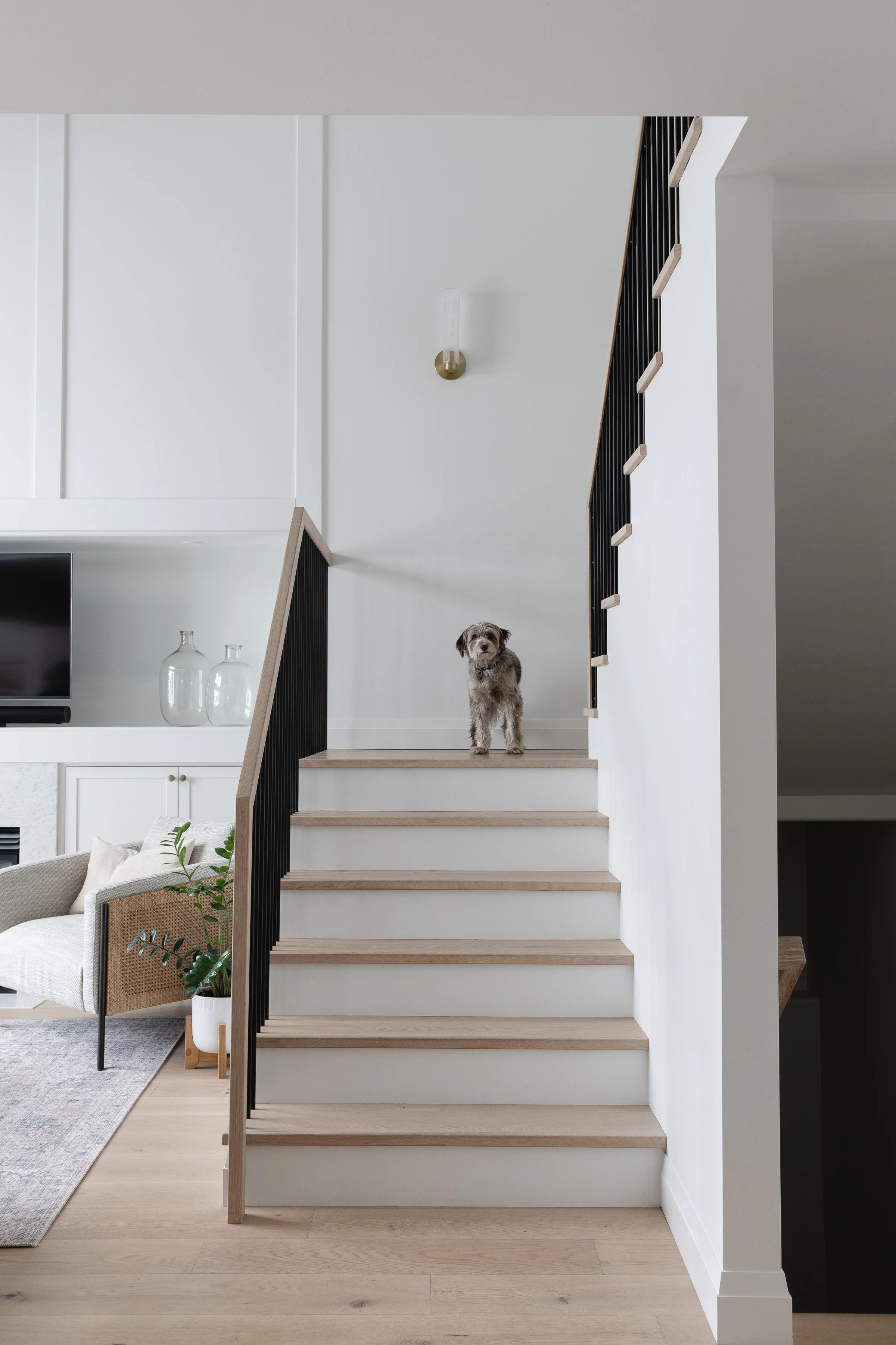 Winnipeg residential design by Canvas Design Studio