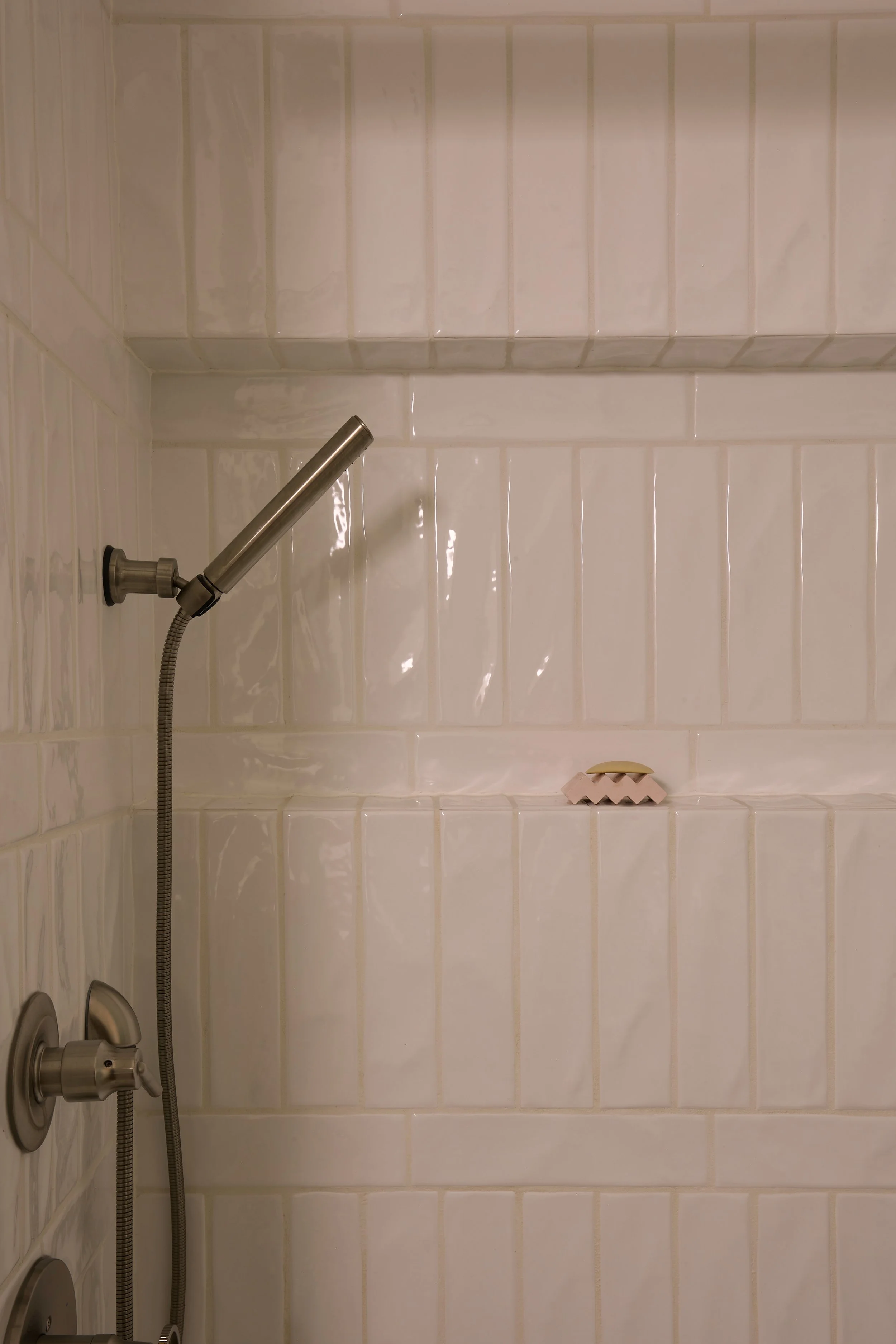 Winnipeg residential shower by Canvas Design Studio