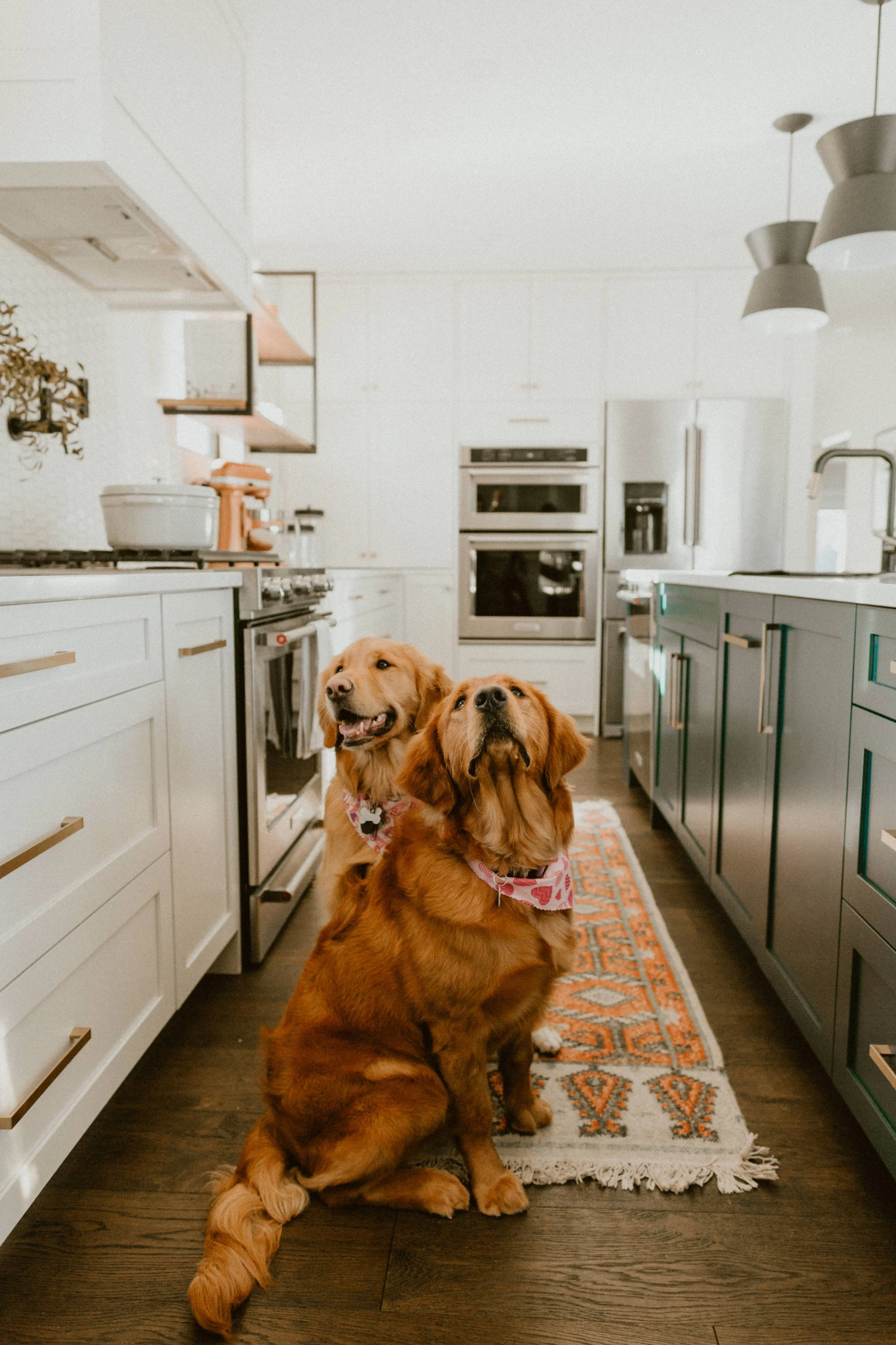 Winnipeg residential kitchen by Canvas Design Studio