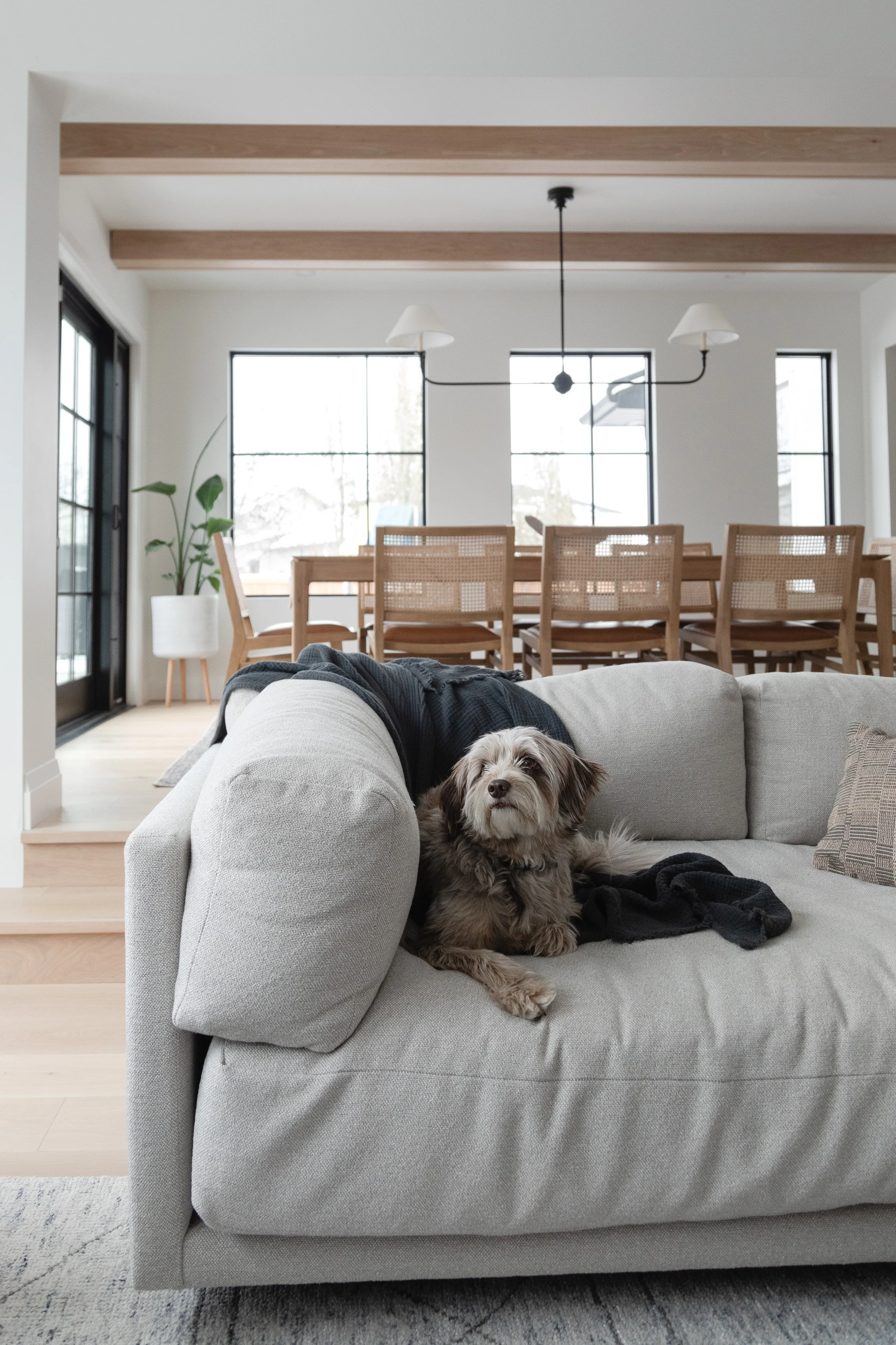 Winnipeg residential living room by Canvas Design Studio