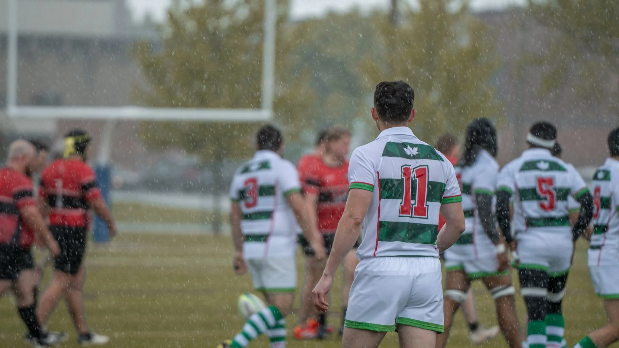Rugby players warming up on a rainy day, wearing white jerseys with green and red accents, and black shorts, on a grassy field.