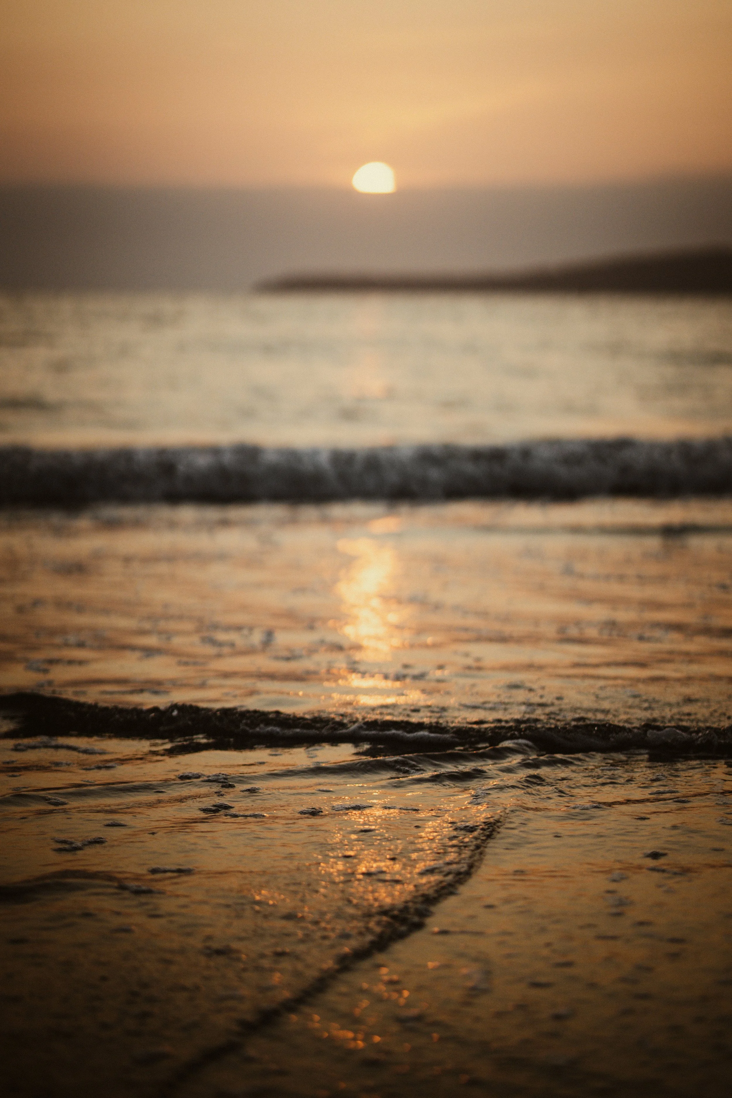 MC_05444.jpg