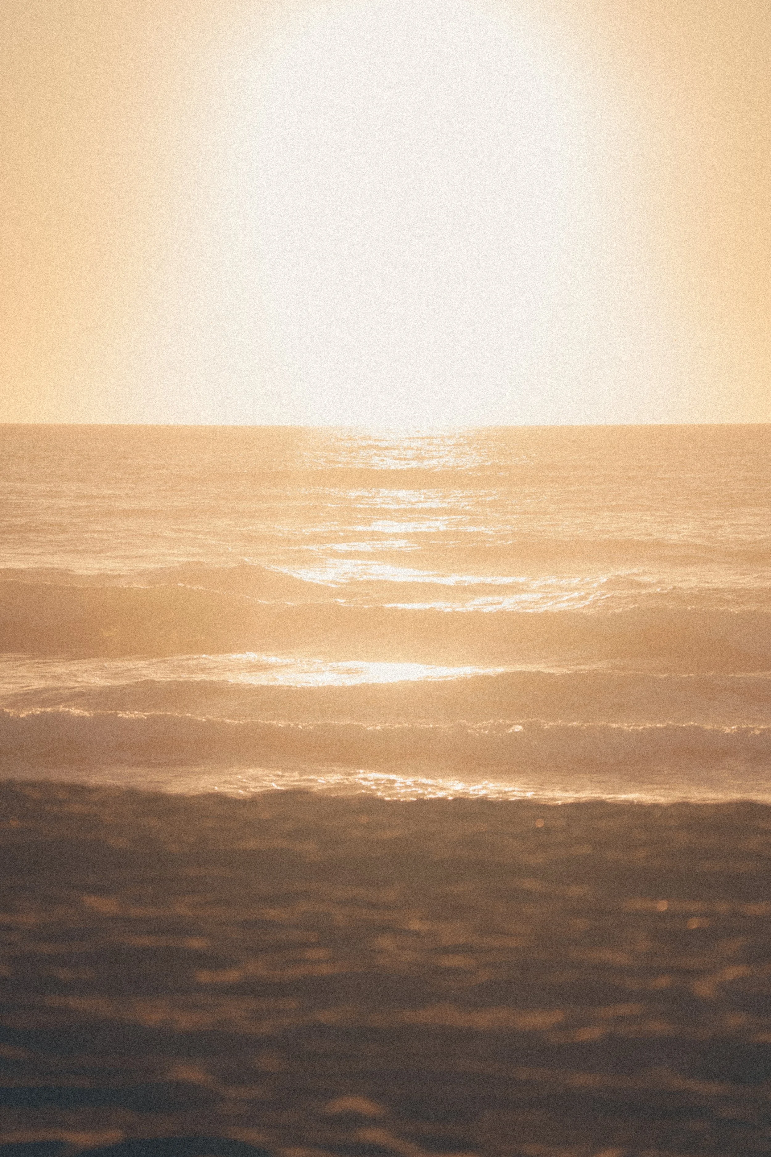 MC_09264.jpg