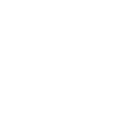 An illustration of a shield and a check mark. Icon used to symbolize integrity.