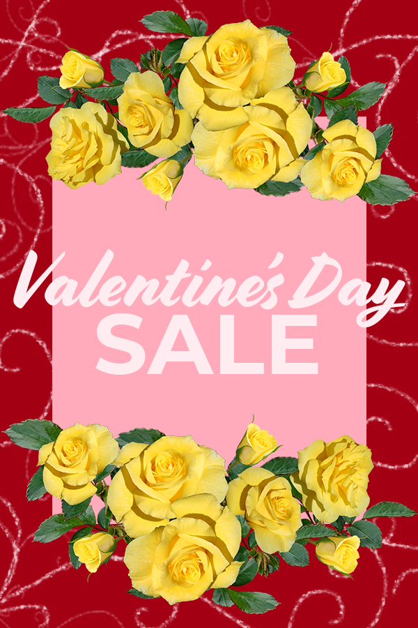 Valentine's Day Sale