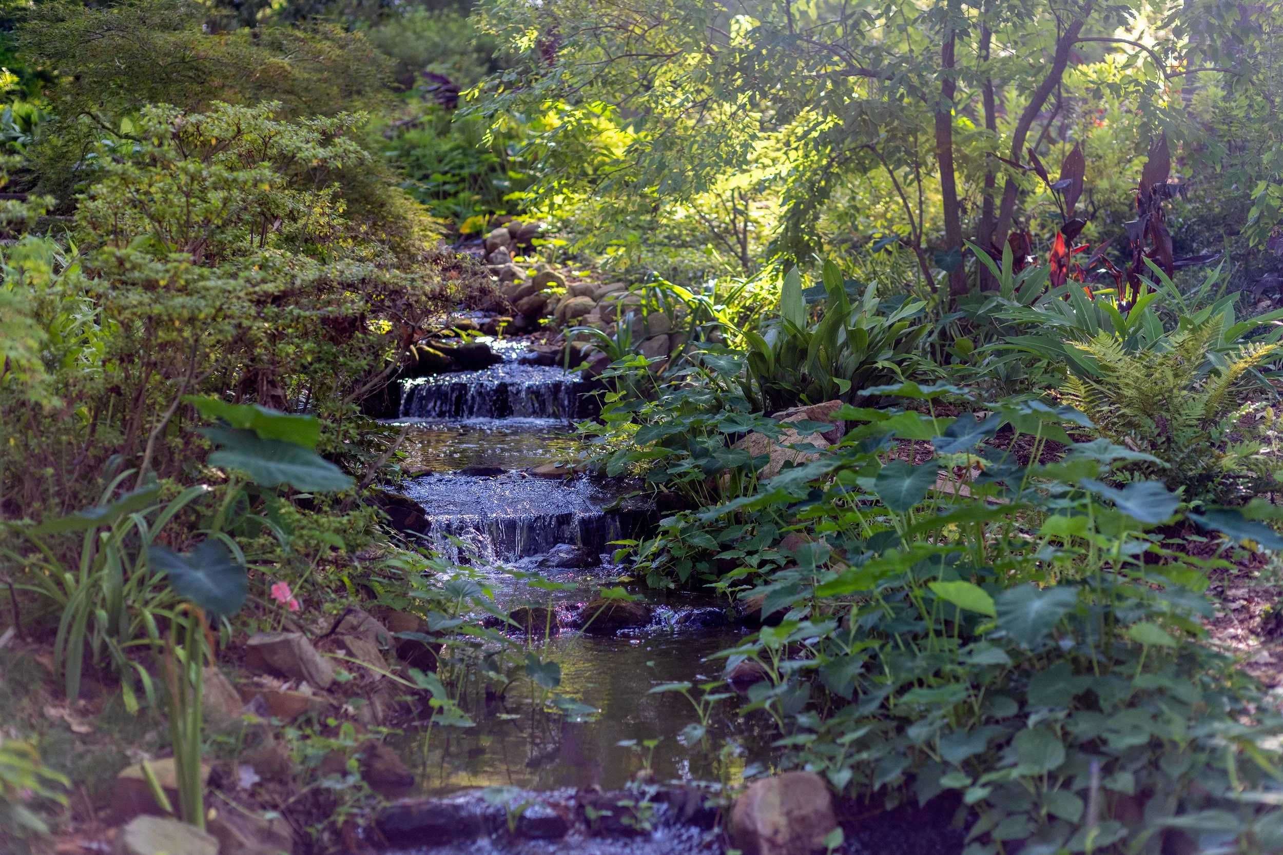 What Bible Book to Study Next