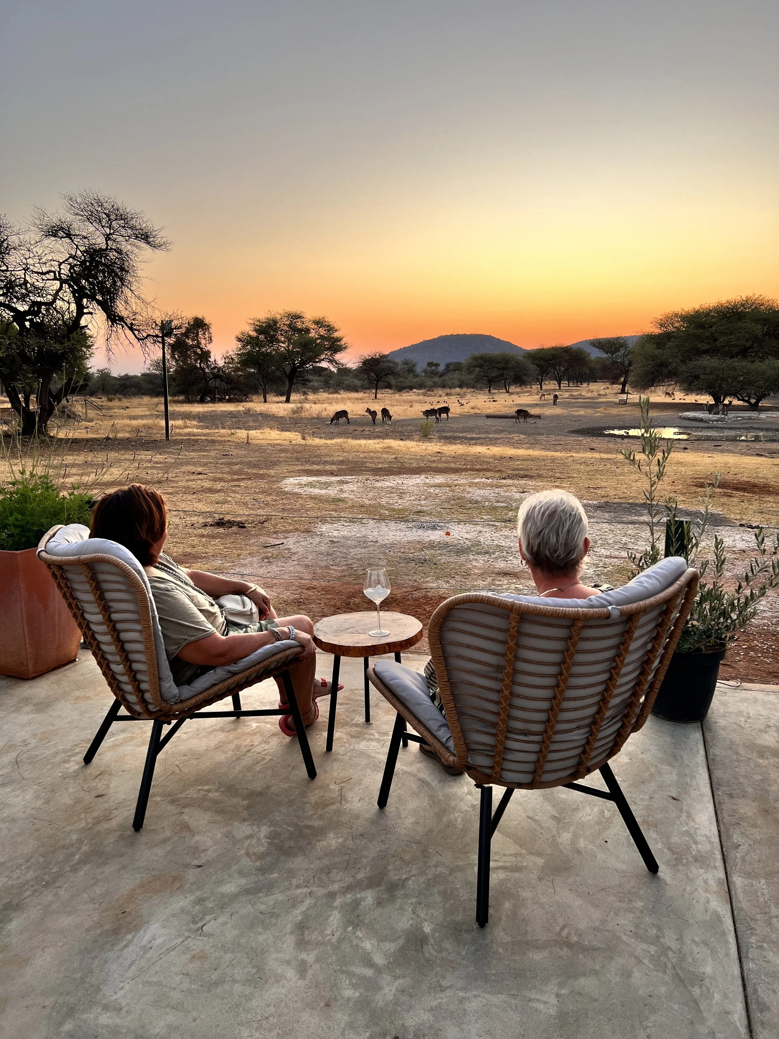 Zwei Frauen sitzen im Freien auf Stühlen und genießen den Sonnenuntergang in einem afrikanischen Safari-Resort, während im Hintergrund Gnus in der Savanne grasen.