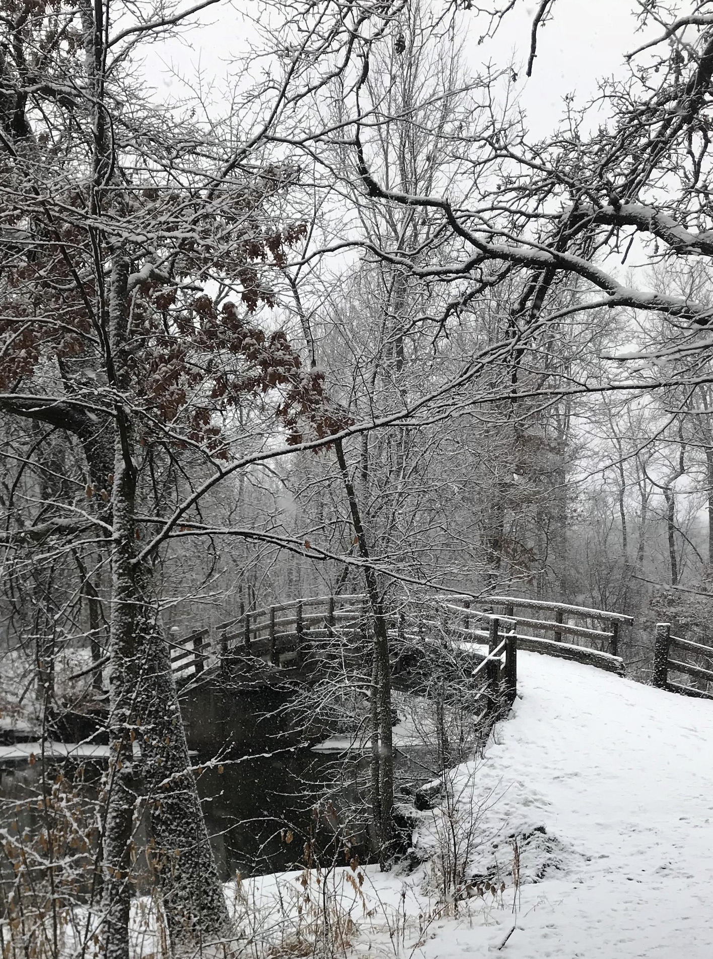 A snowy landscape with a small bridge crossing over a stream or pond, surrounded by leafless trees covered in snow.