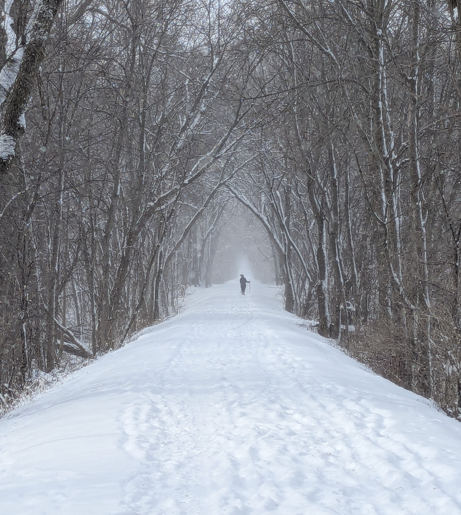 Snow-covered pathway through a wooded forest with leafless trees, and a person walking in the distance under a misty sky.