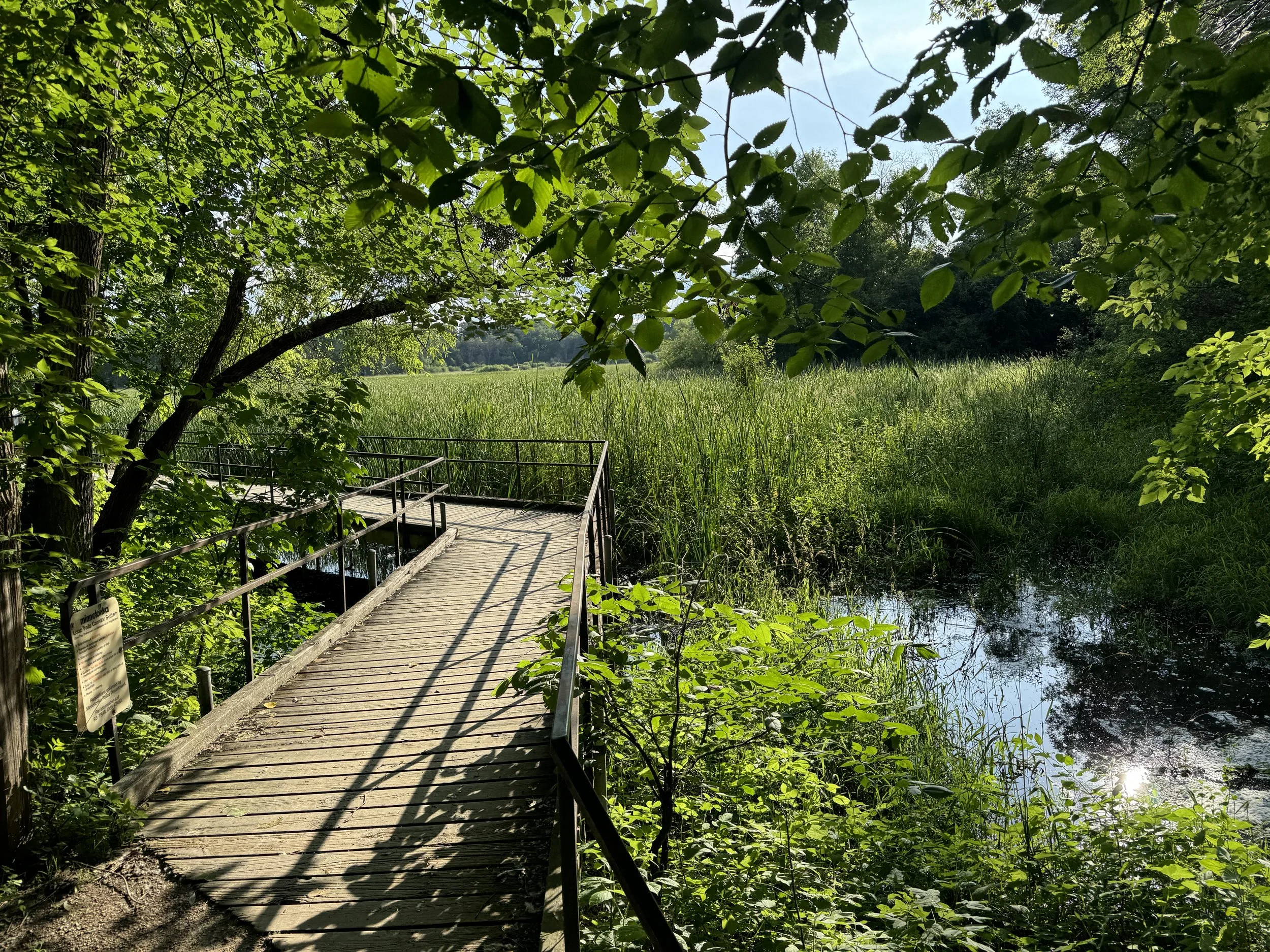 A wooden boardwalk bridge with black metal railings over a small stream in a lush green wetland, shaded by trees, with tall grass and bushes along the water's edge, and a partly cloudy sky overhead.