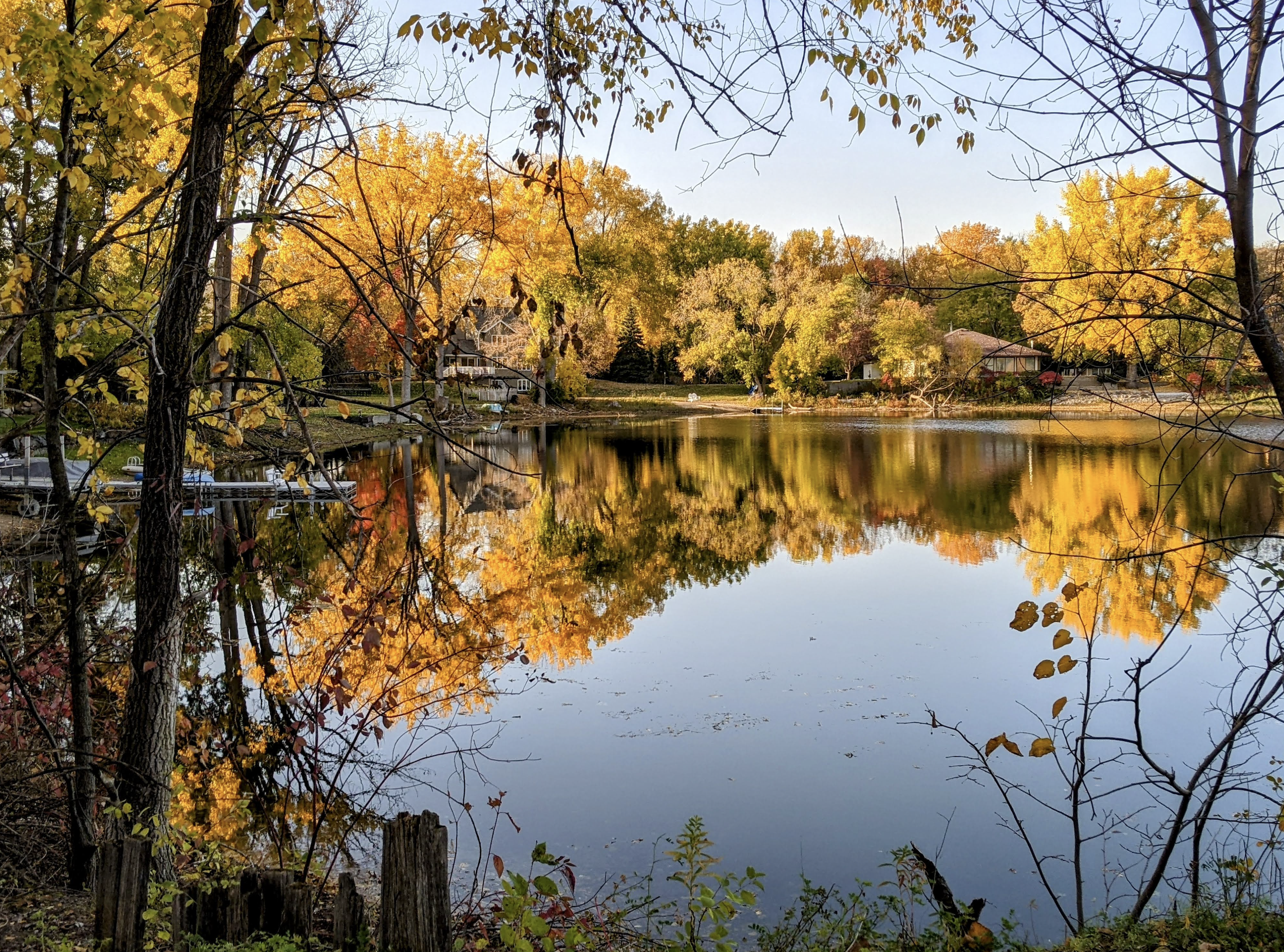 A tranquil lake scene during fall with trees in vibrant yellow, orange, and green foliage, reflections on the water, and houses along the shoreline.