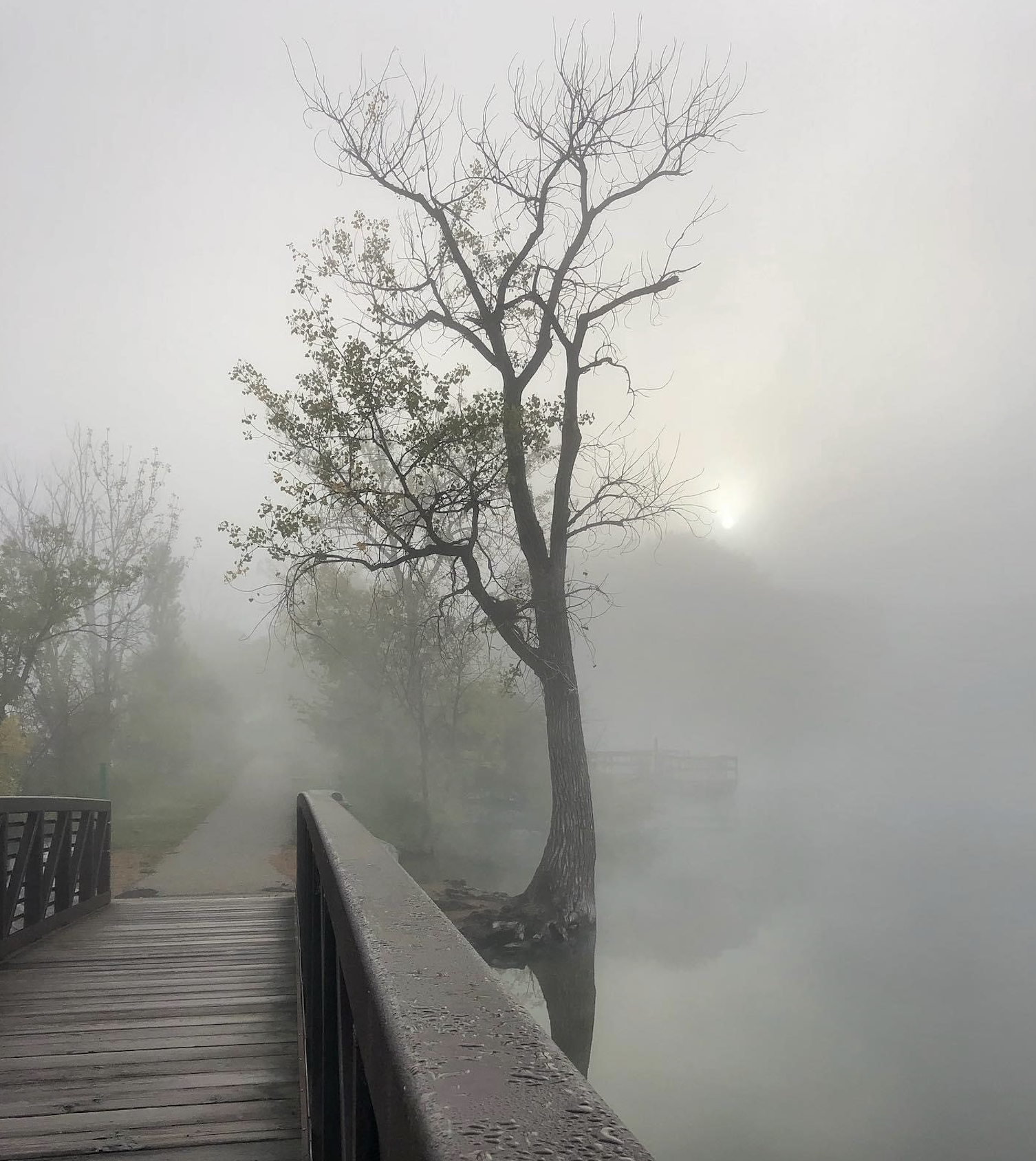 A foggy scene with a wooden bridge over a calm river, a leafless tree directly in front, and several other trees fading into the mist in the background.