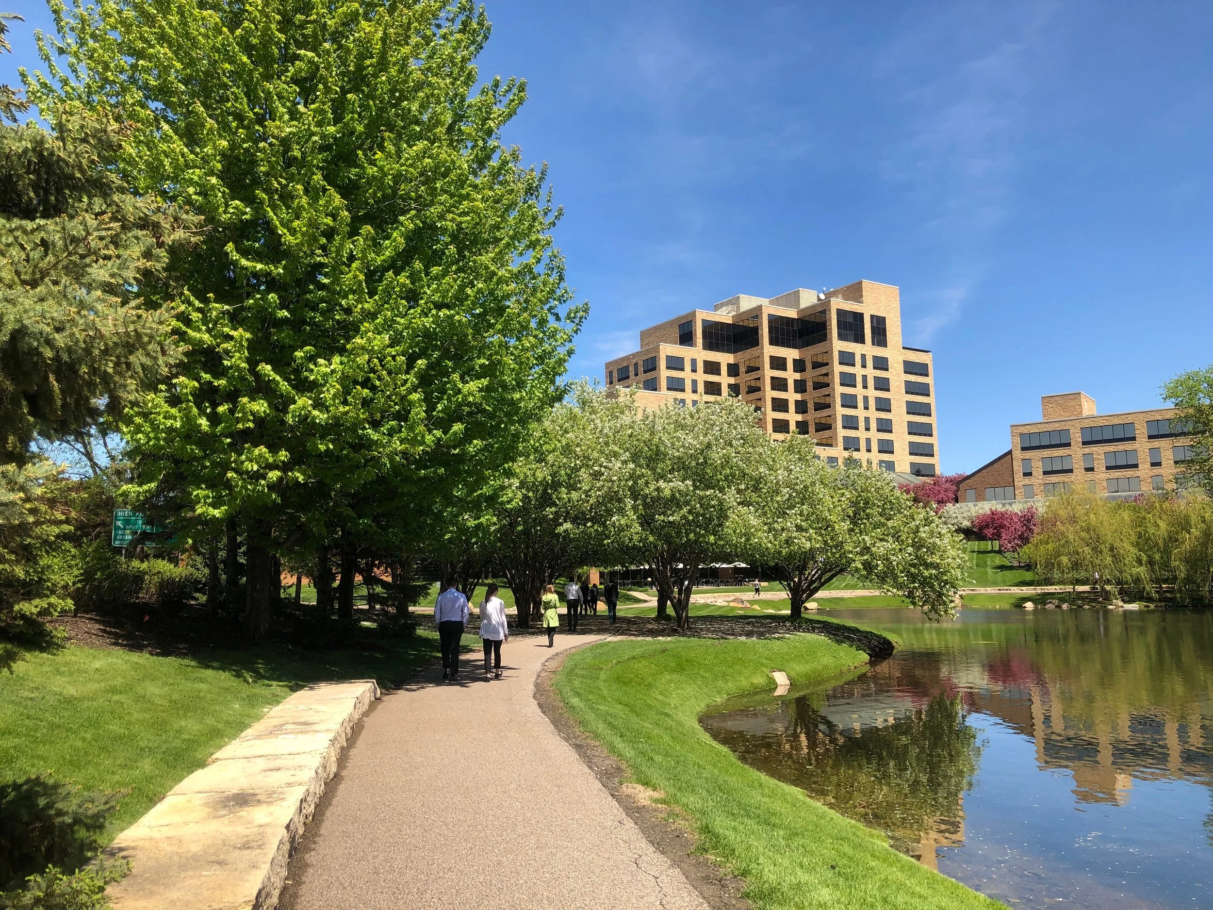 People walk on a path alongside a pond with green grass and blooming trees in a city park, with modern buildings in the background on a sunny day.